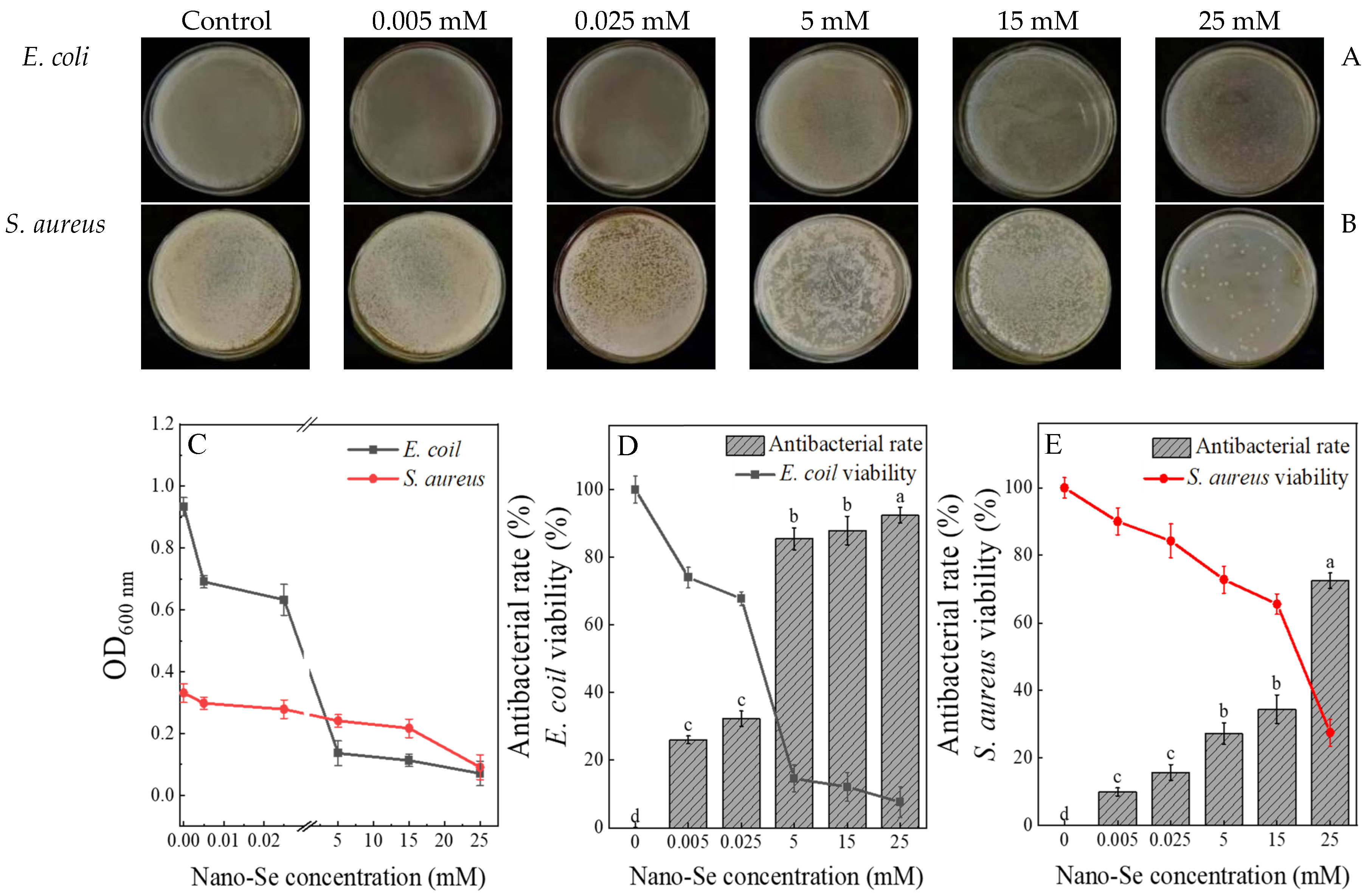 Agronomy 15 02750 g002