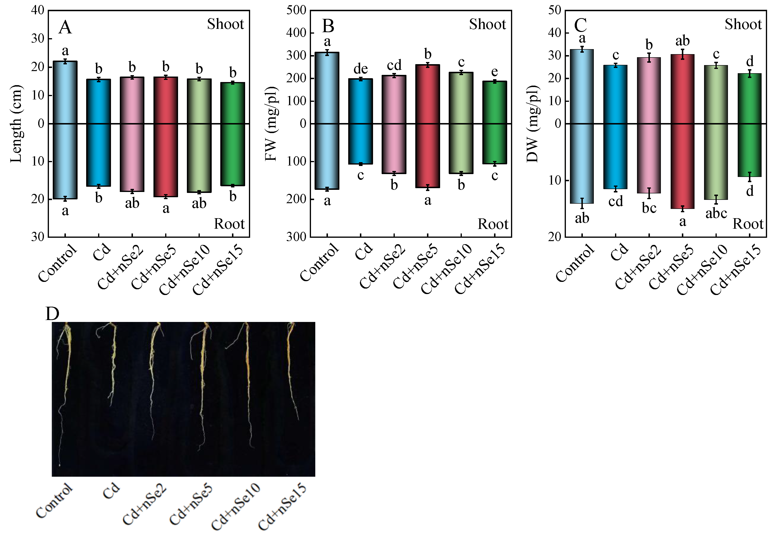 Agronomy 15 02750 g003