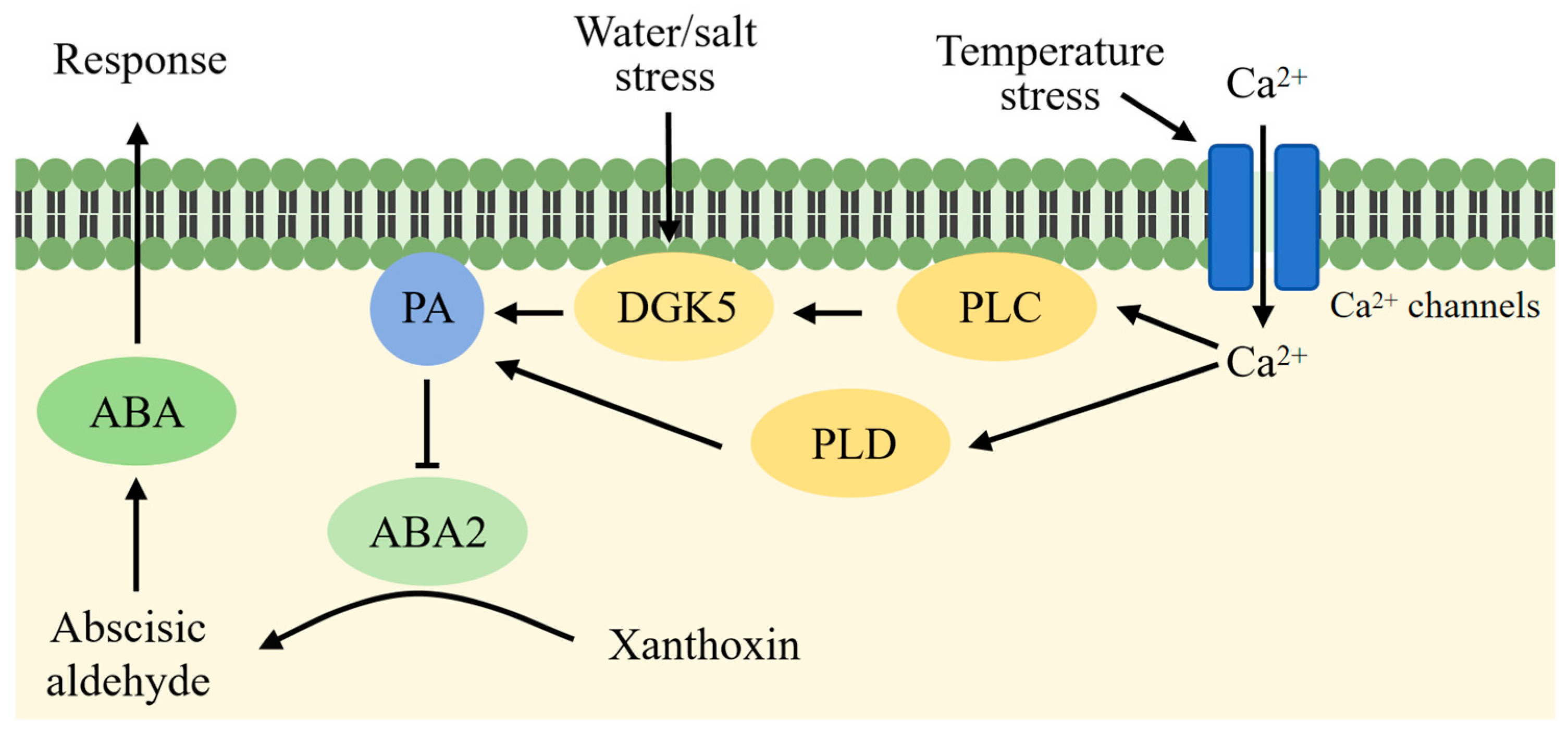 Agronomy 15 02758 g002 Agronomy 15 02758 g002