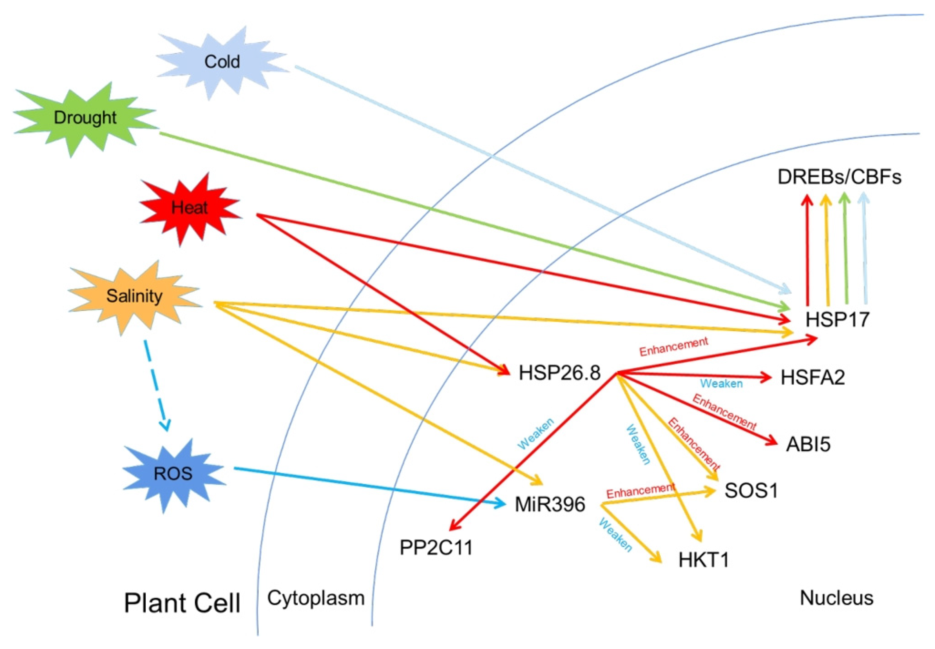 Agronomy 15 02761 g003