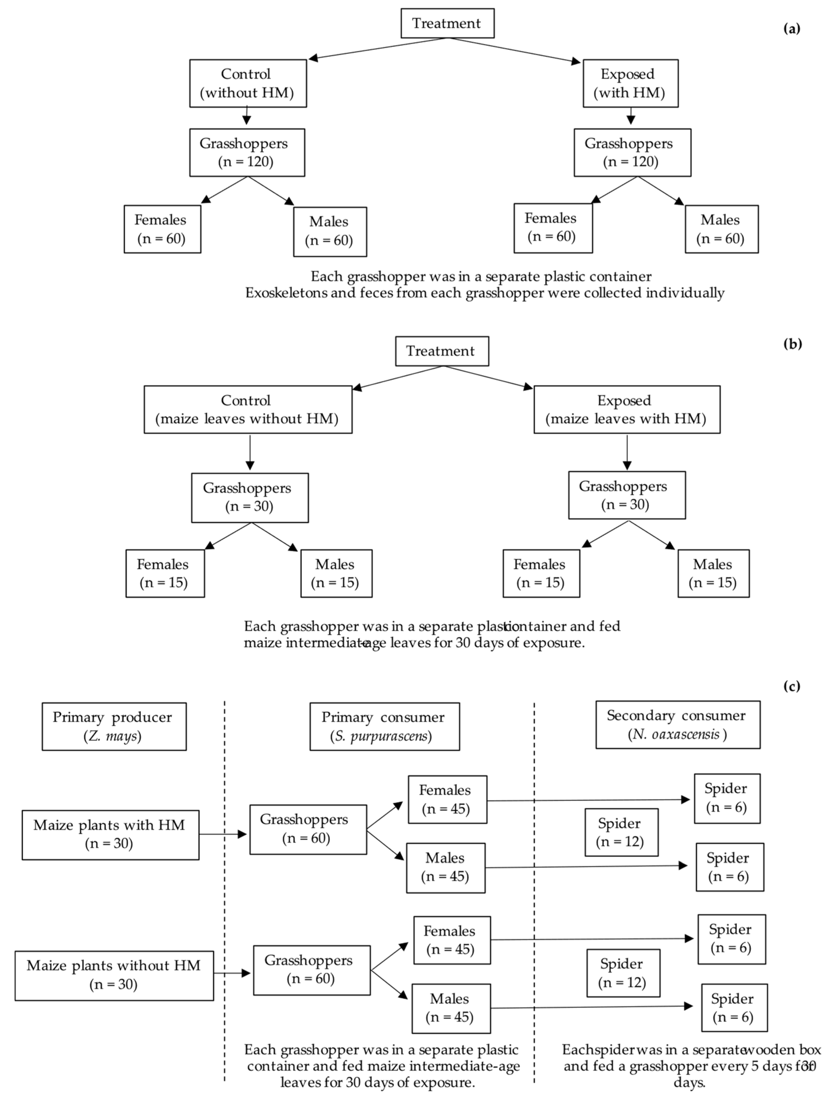 Agronomy 15 02762 g002