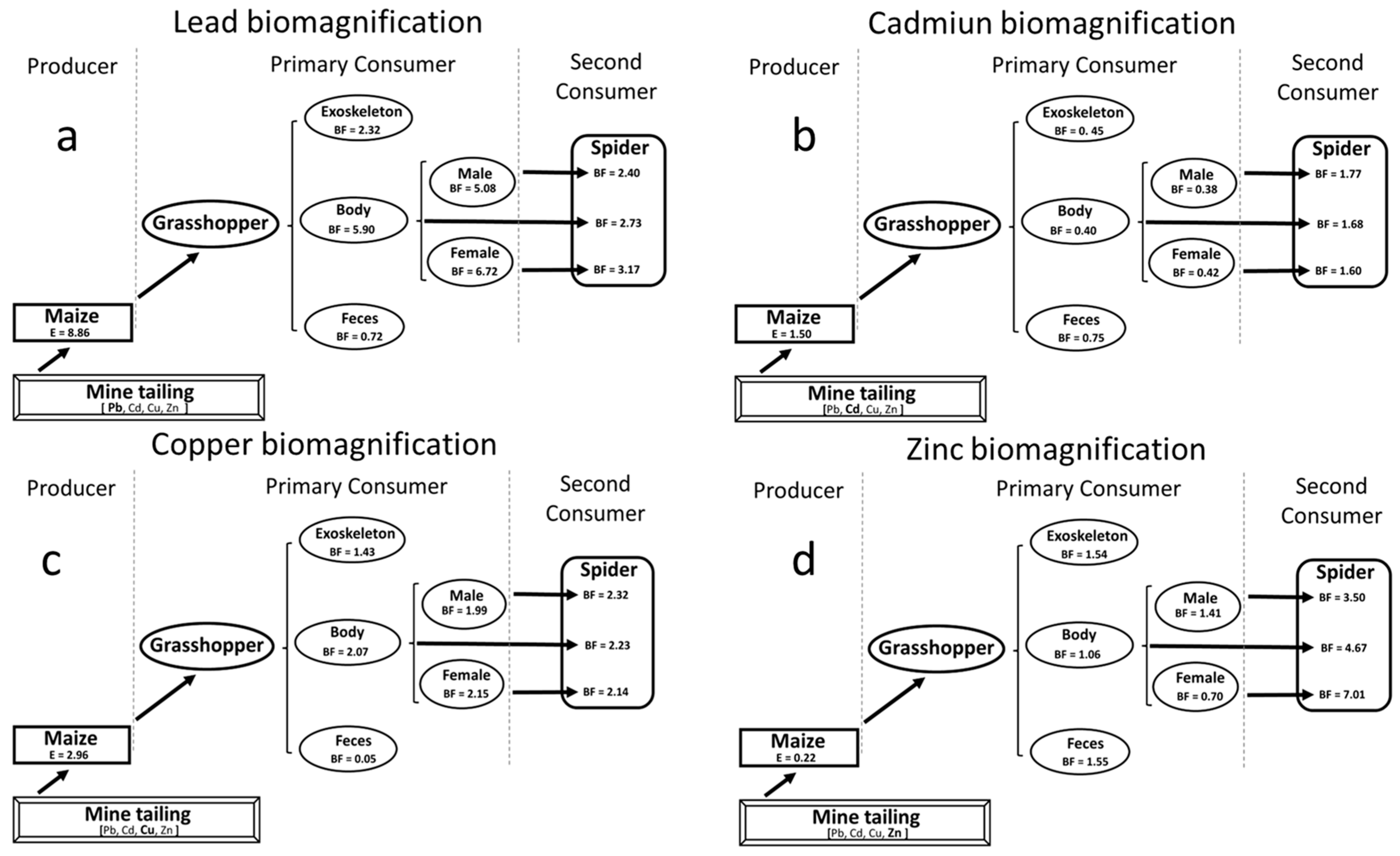 Agronomy 15 02762 g003