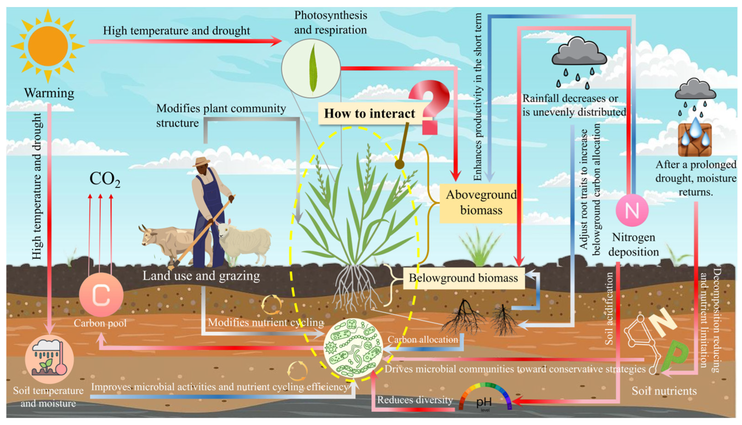 Agronomy 15 02765 g001
