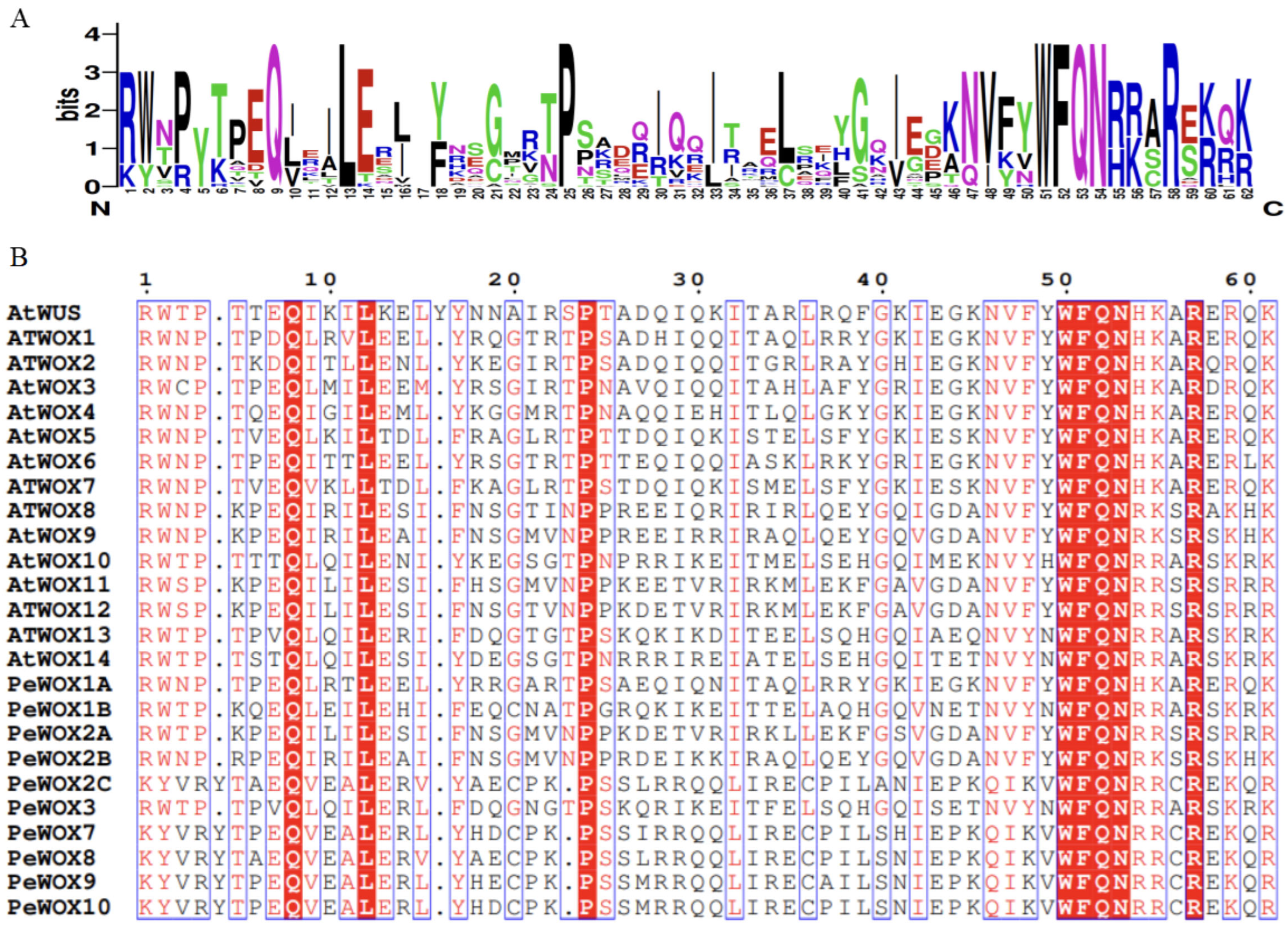 Agronomy 15 02766 g001