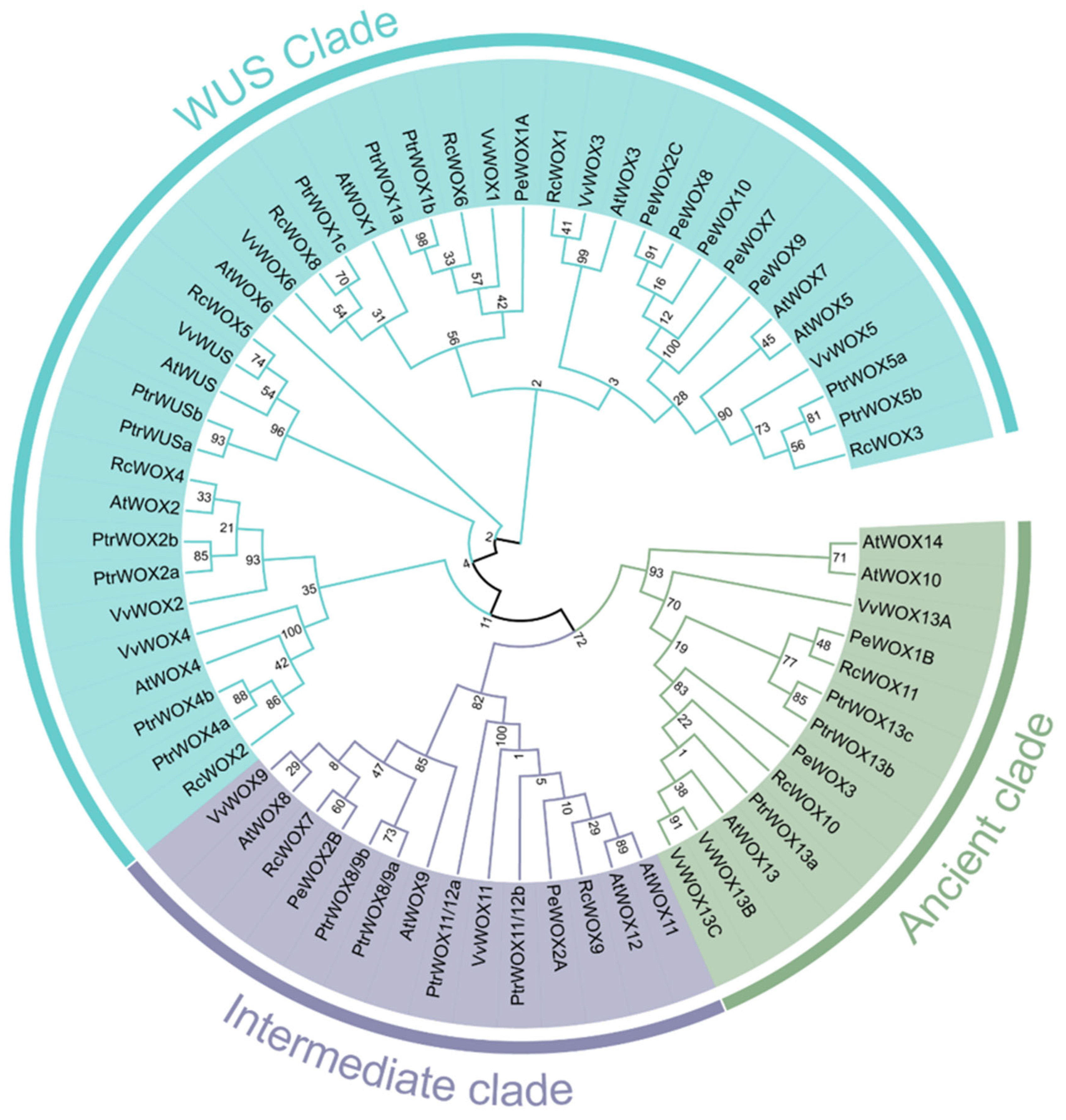Agronomy 15 02766 g002