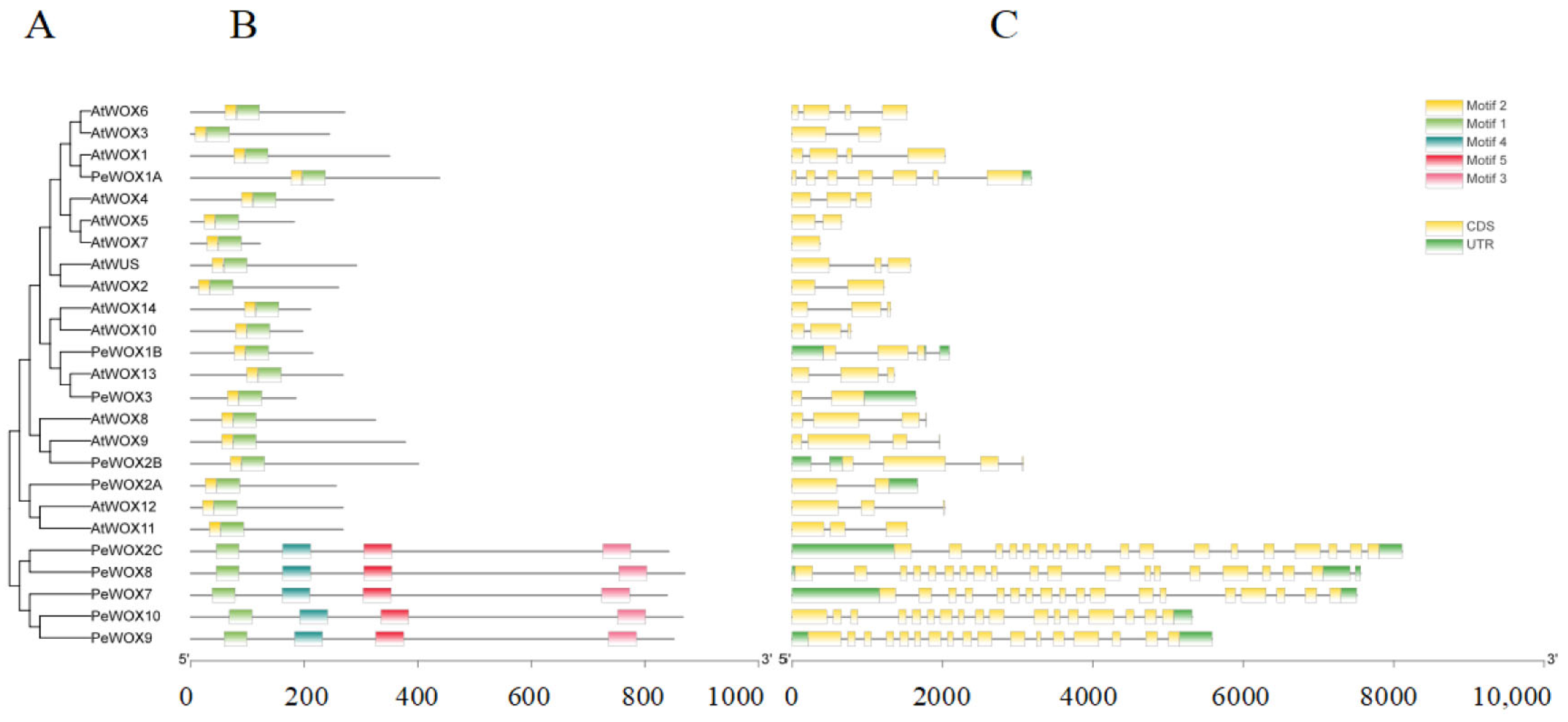 Agronomy 15 02766 g003