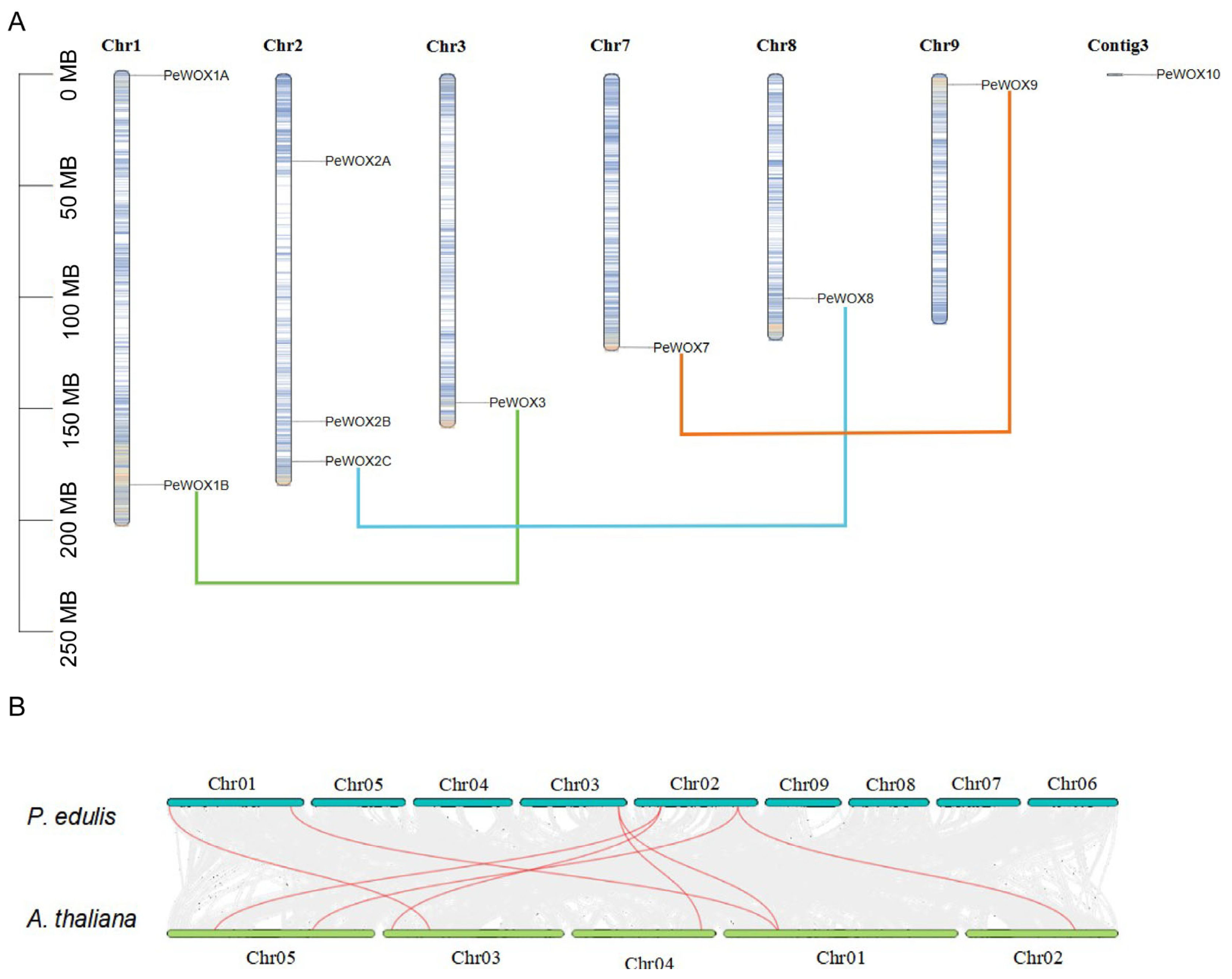 Agronomy 15 02766 g005