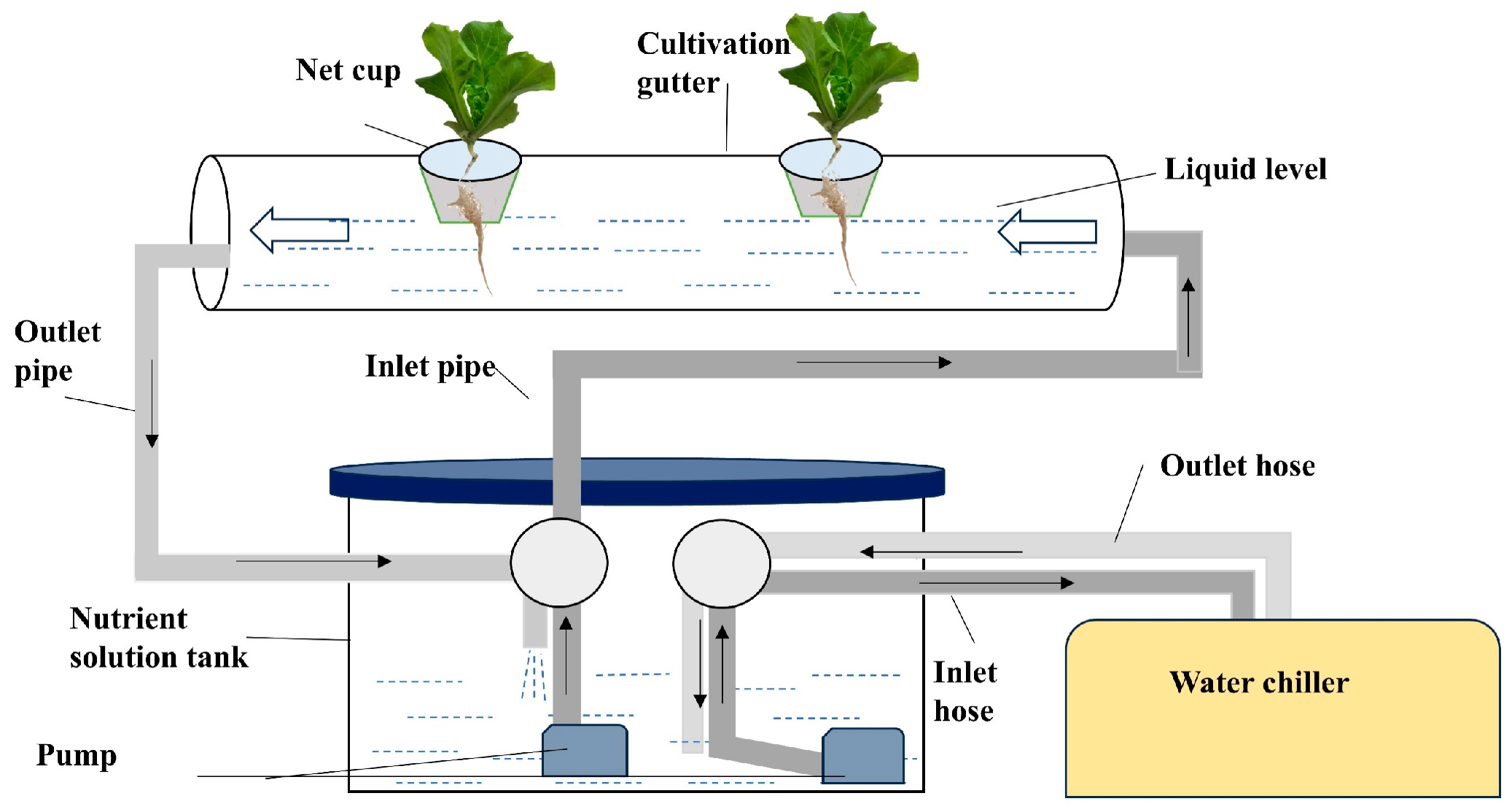 Agronomy 15 02768 g002 Agronomy 15 02768 g002