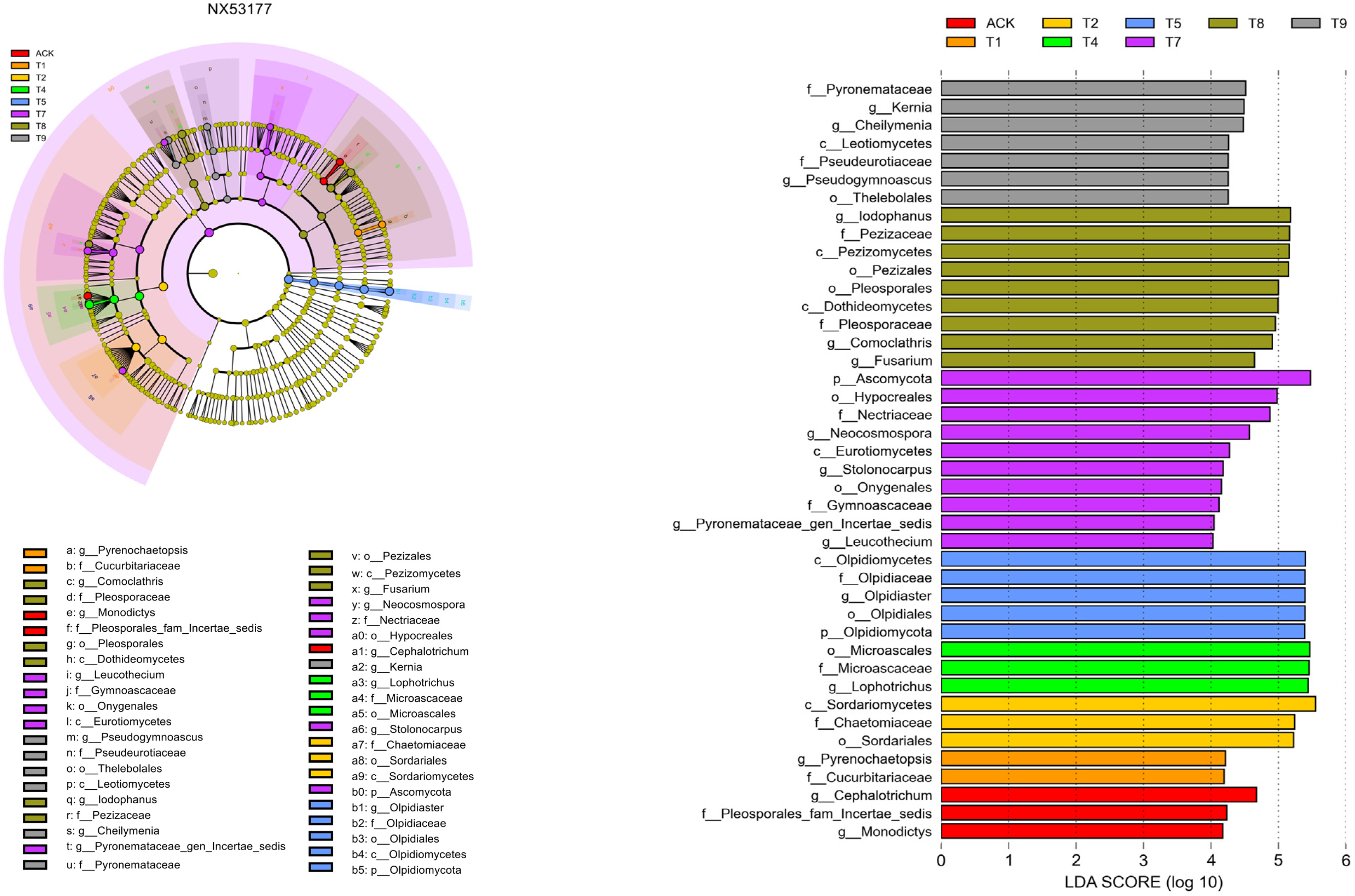 Agronomy 15 02769 g005