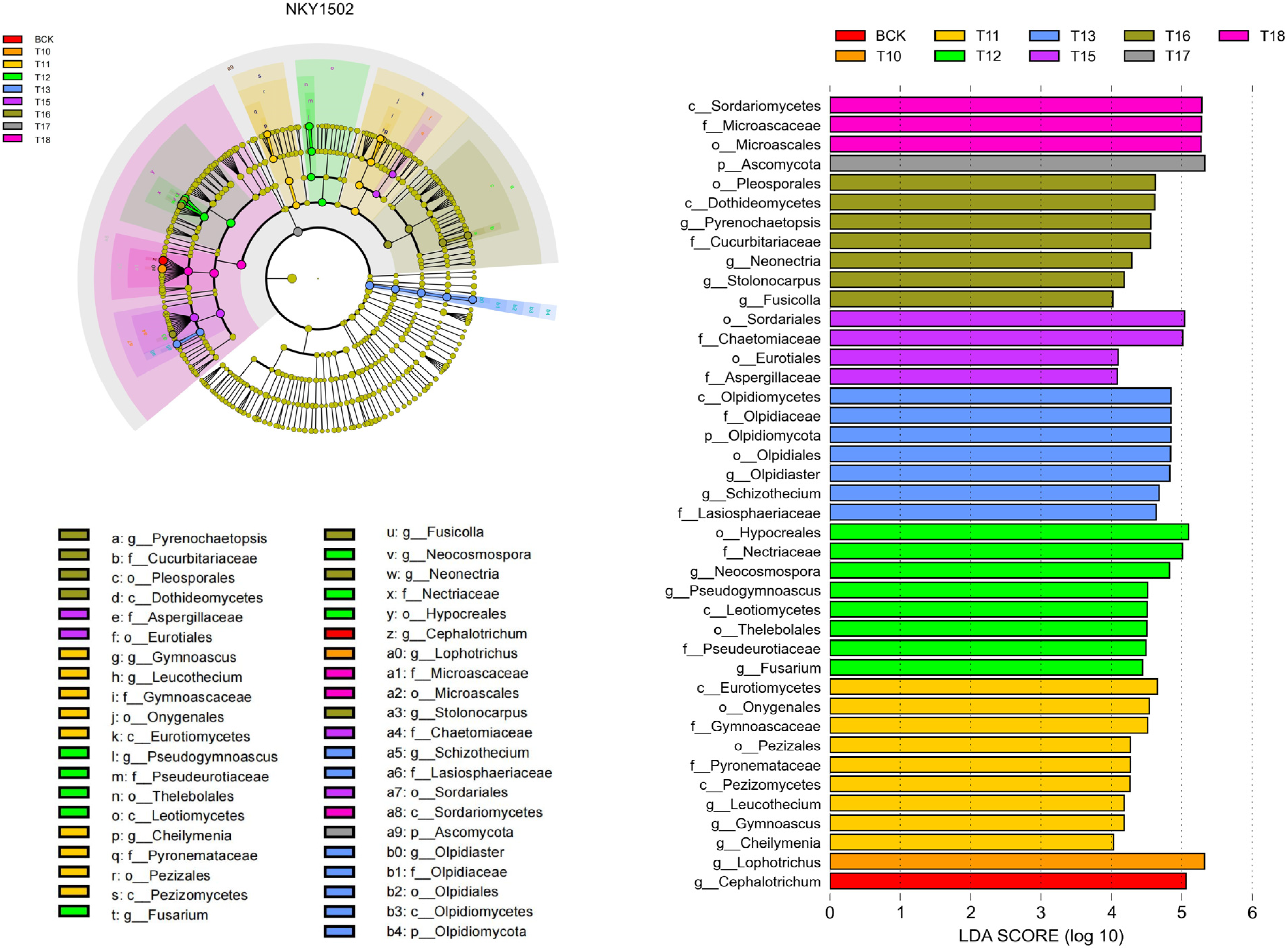 Agronomy 15 02769 g006