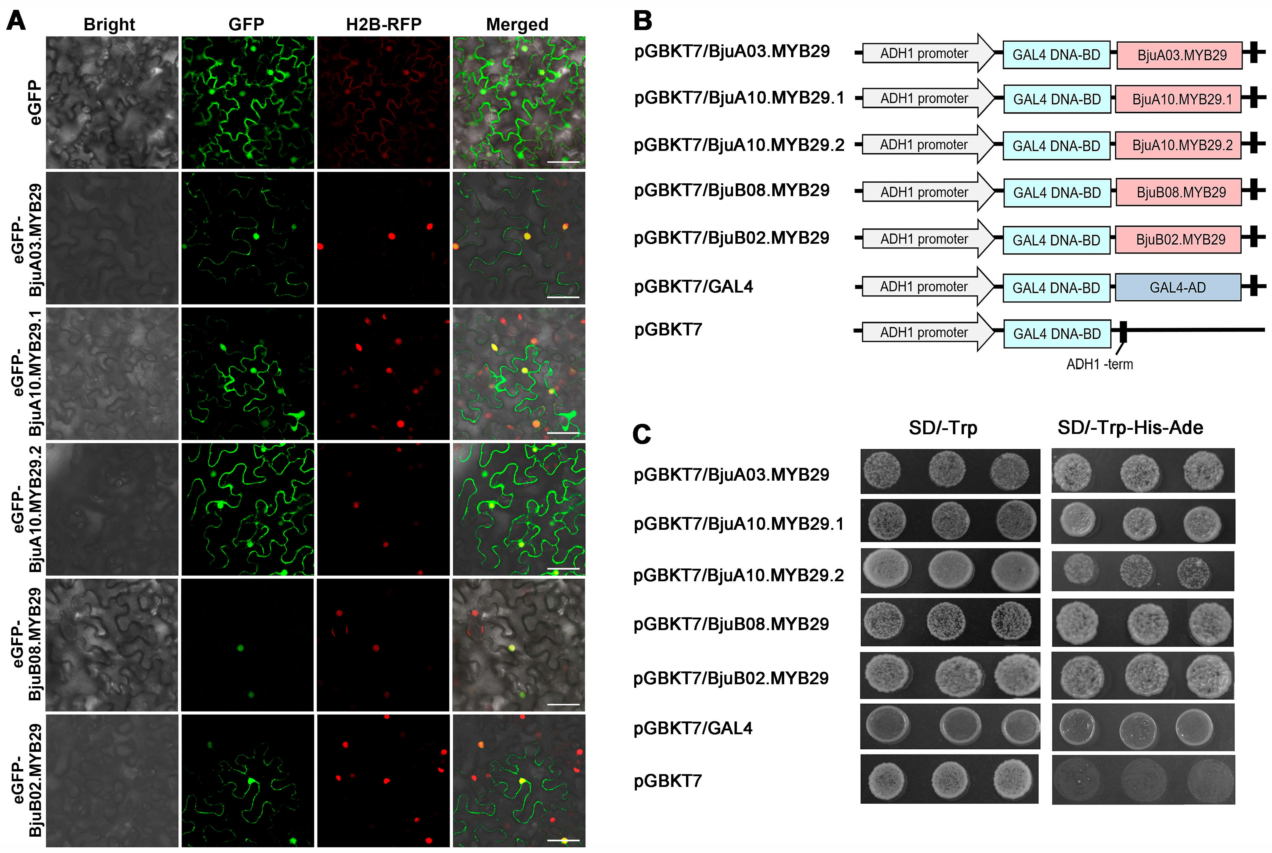 Agronomy 15 02770 g002