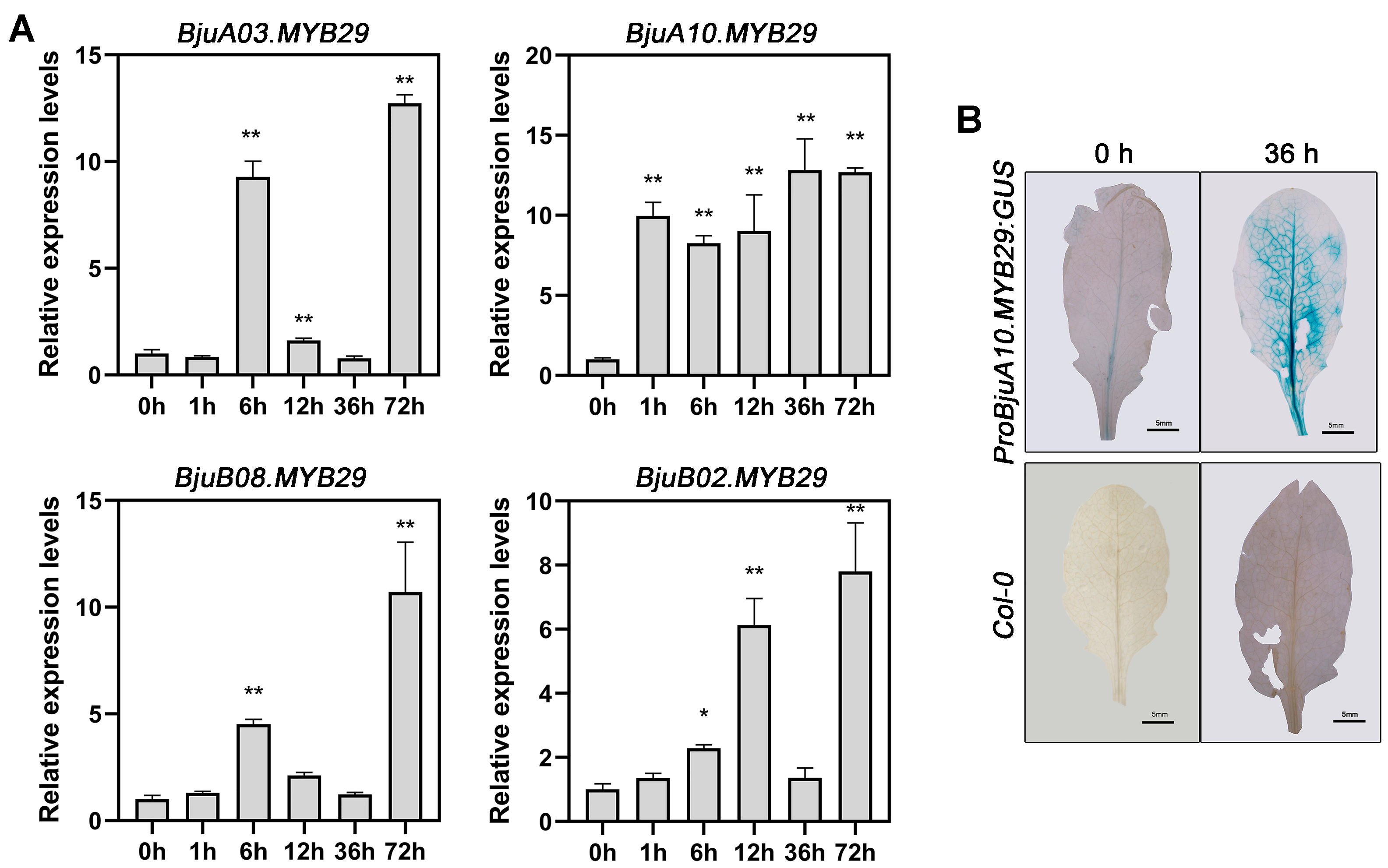 Agronomy 15 02770 g005