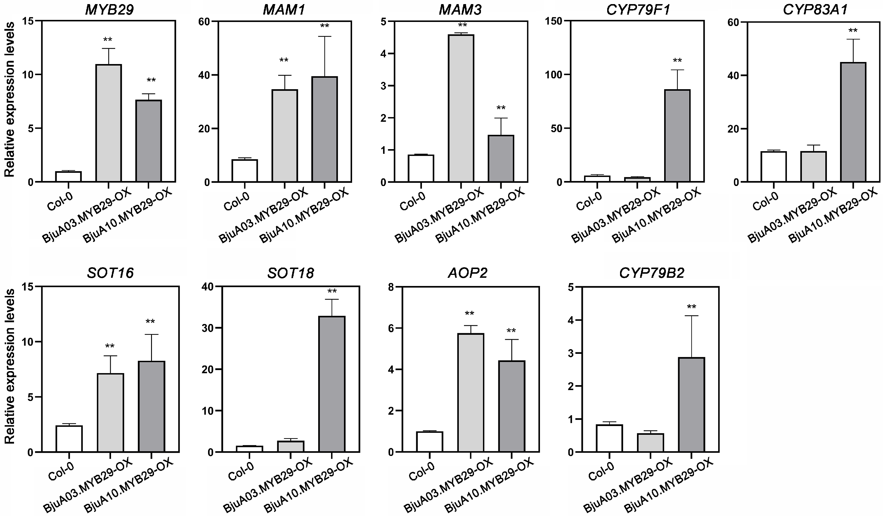 Agronomy 15 02770 g008