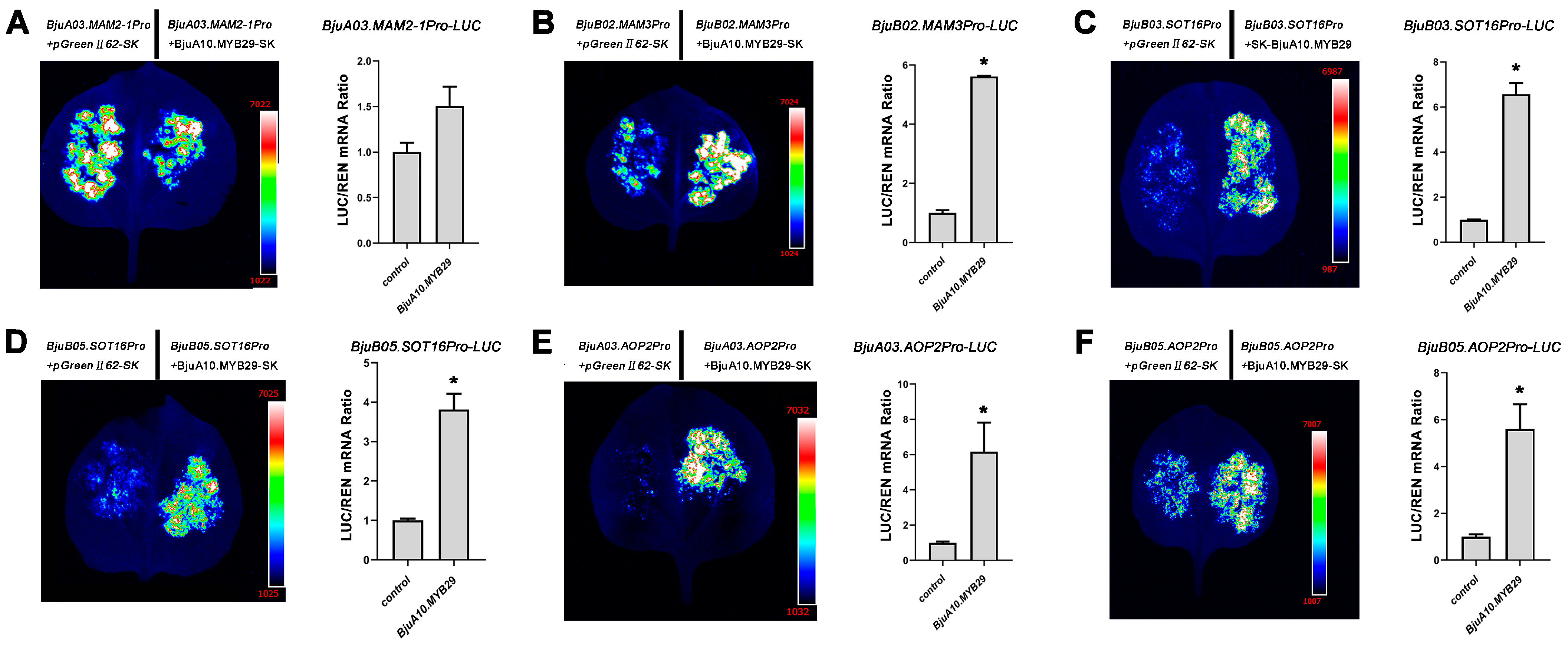 Agronomy 15 02770 g009