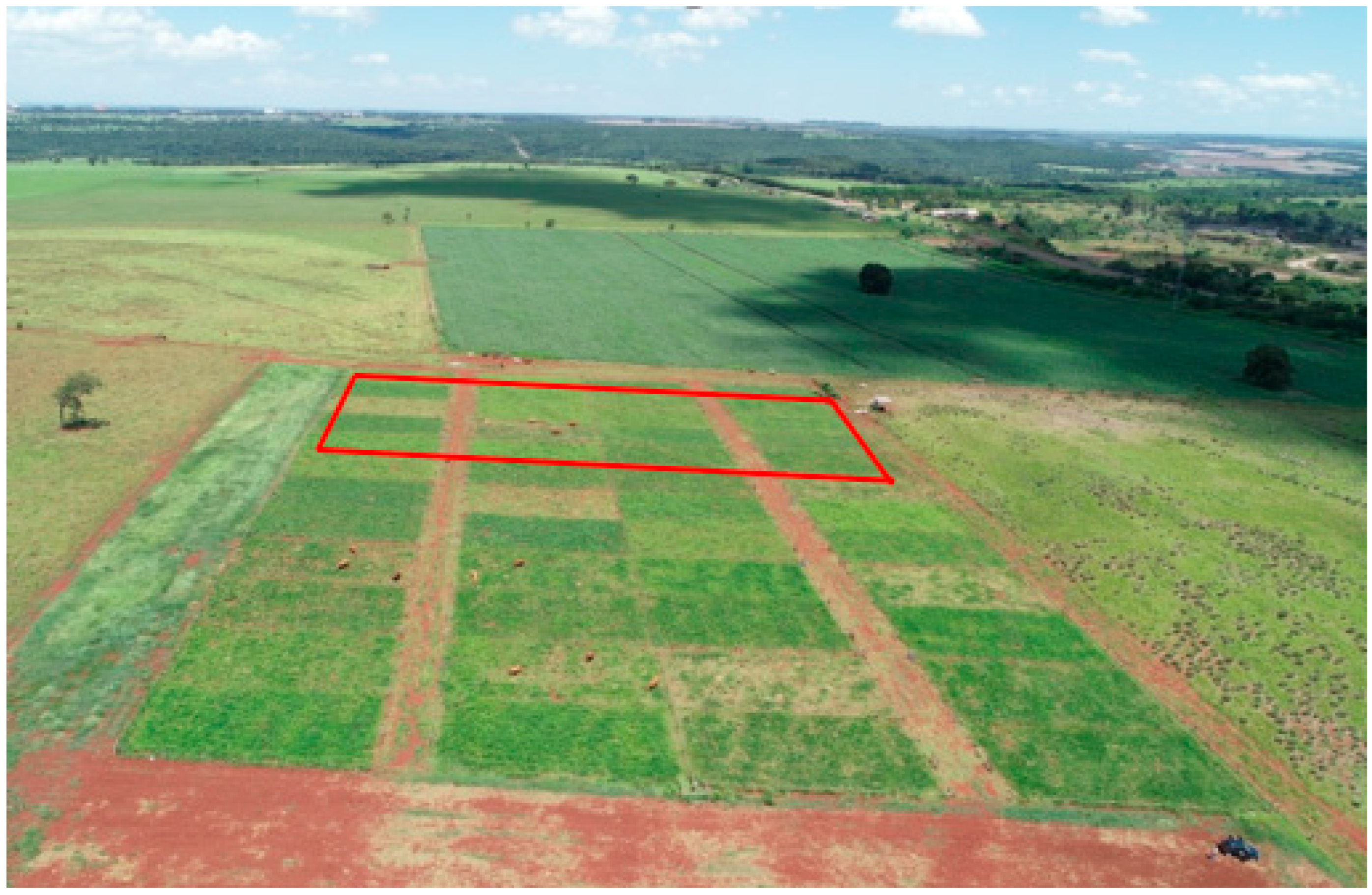 Agronomy 15 02780 g001 Agronomy 15 02780 g001