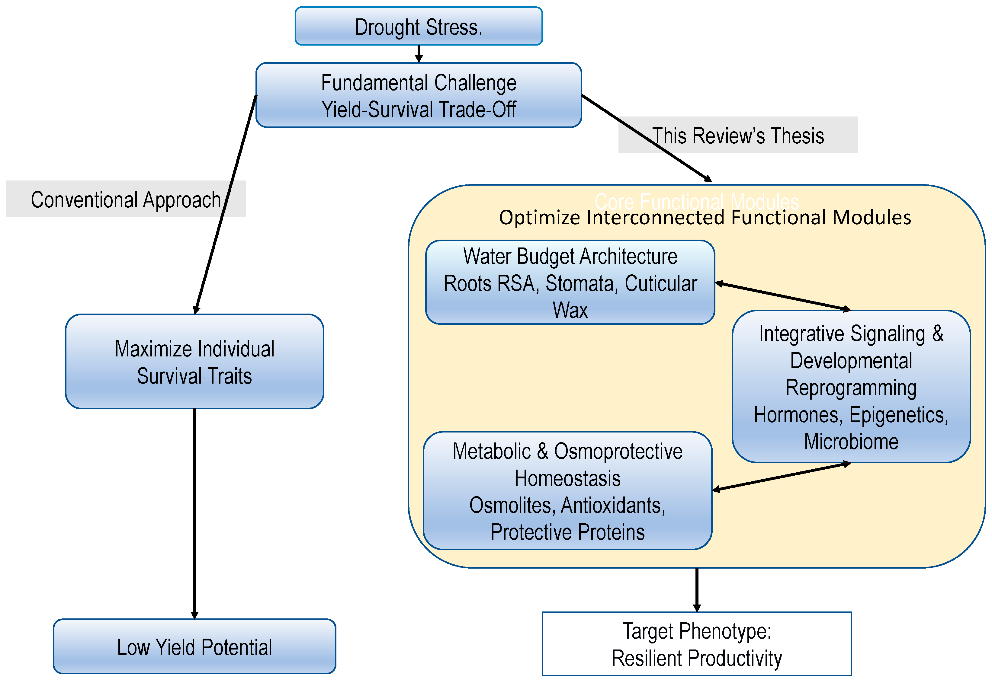 Agronomy 15 02783 g001