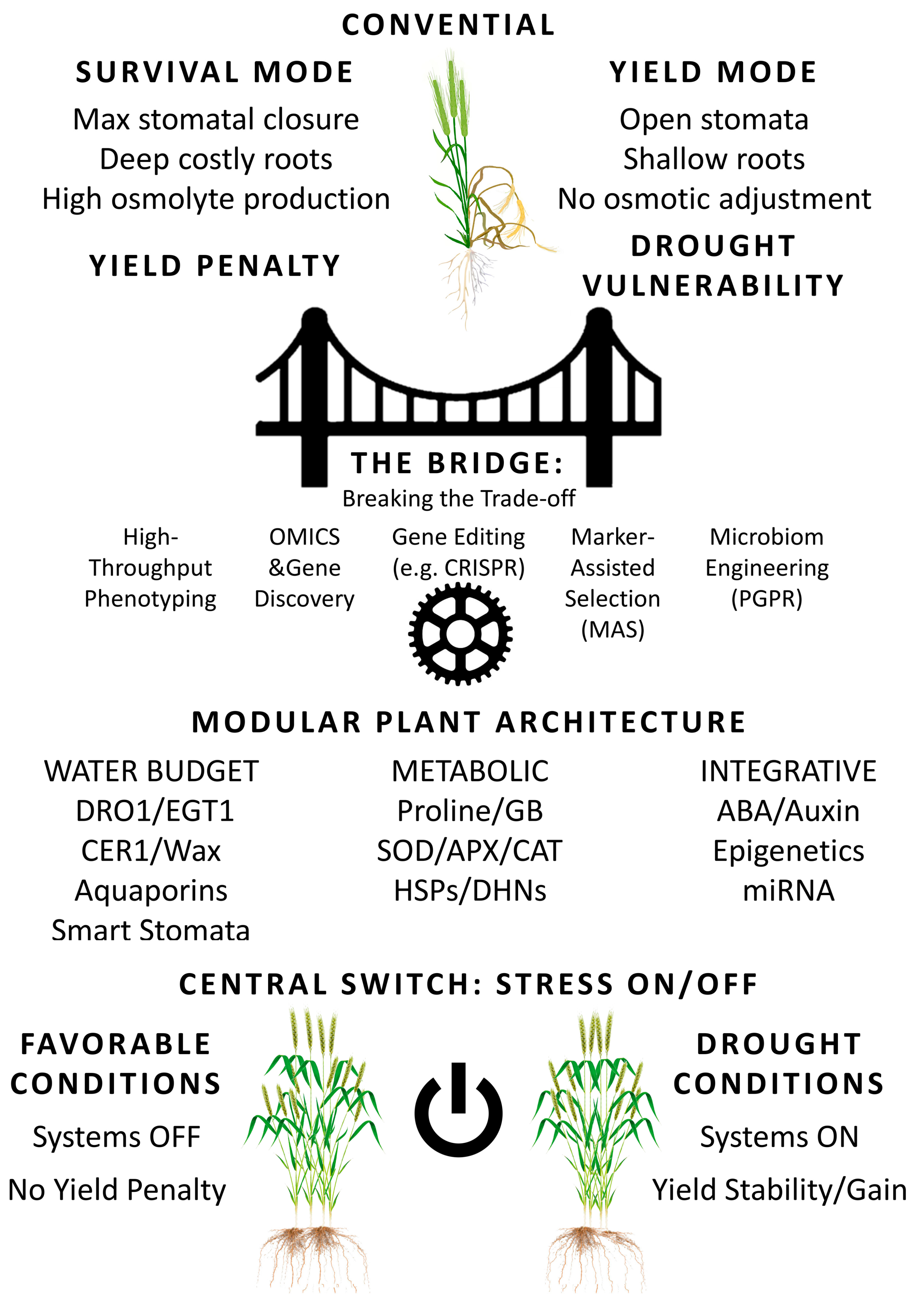 Agronomy 15 02783 g002