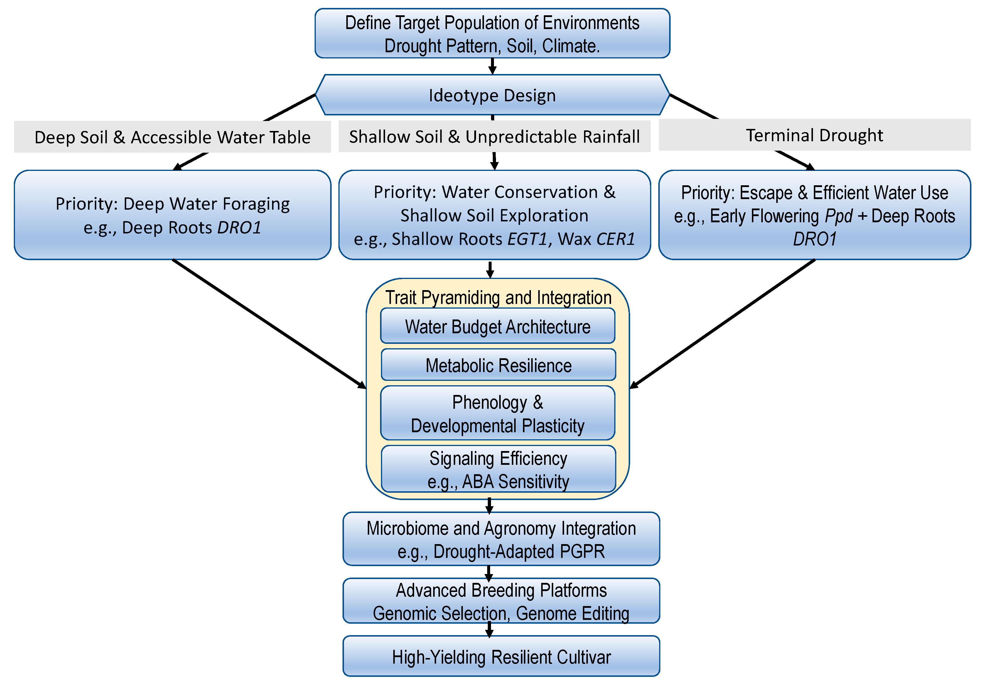 Agronomy 15 02783 g003