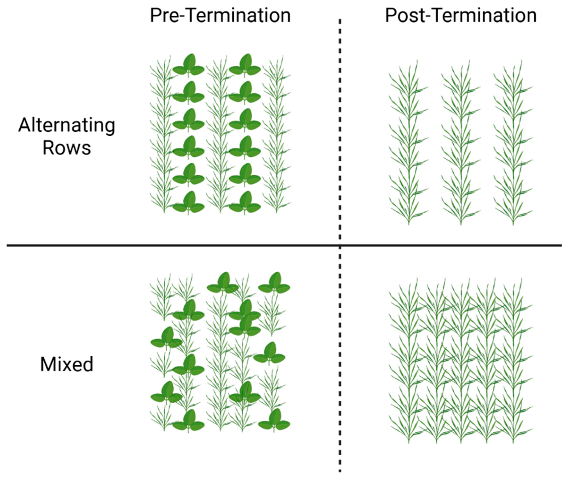 Agronomy 15 02784 g003