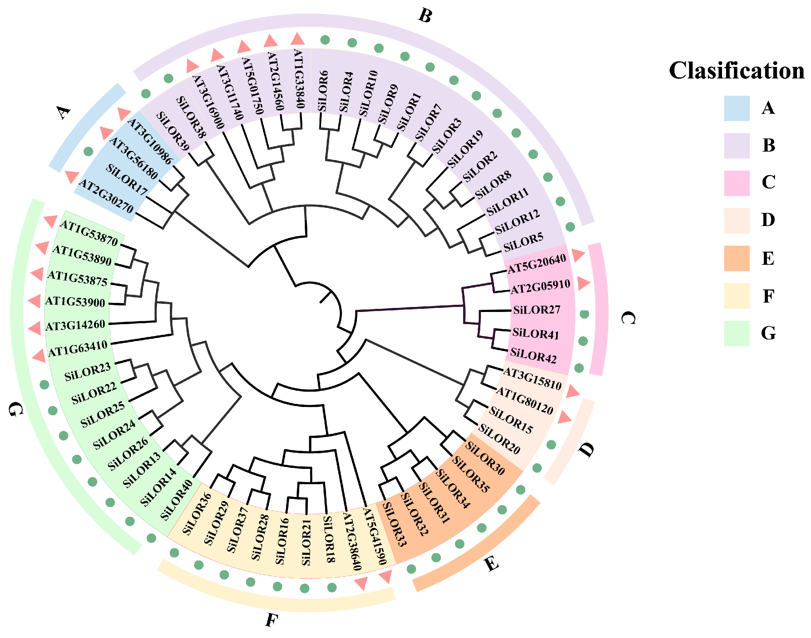 Agronomy 15 02787 g001 Agronomy 15 02787 g001