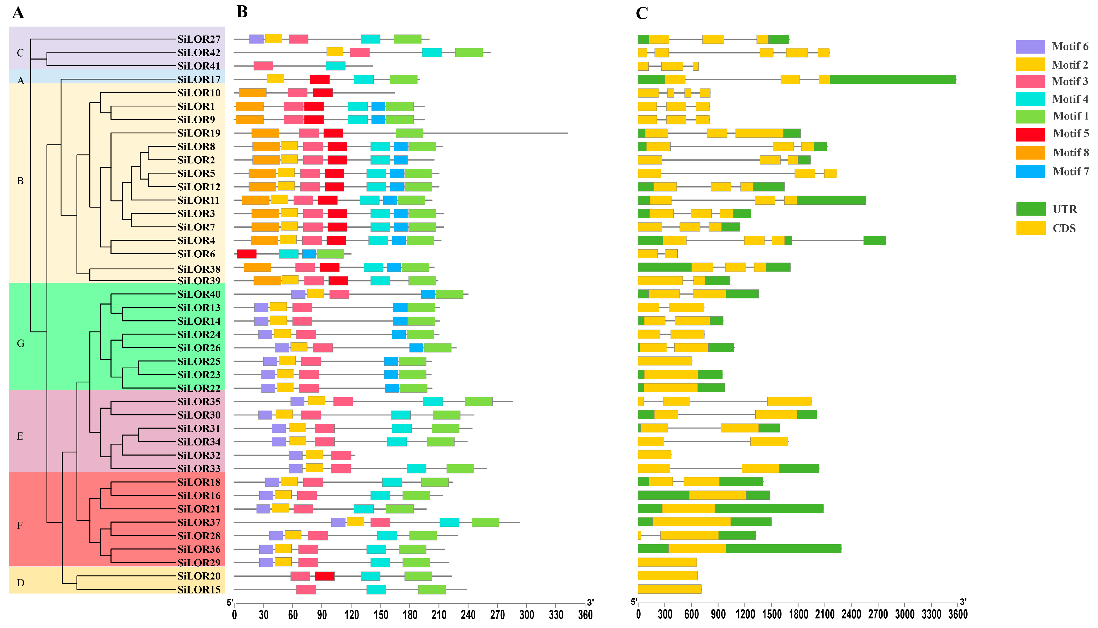 Agronomy 15 02787 g002 Agronomy 15 02787 g002