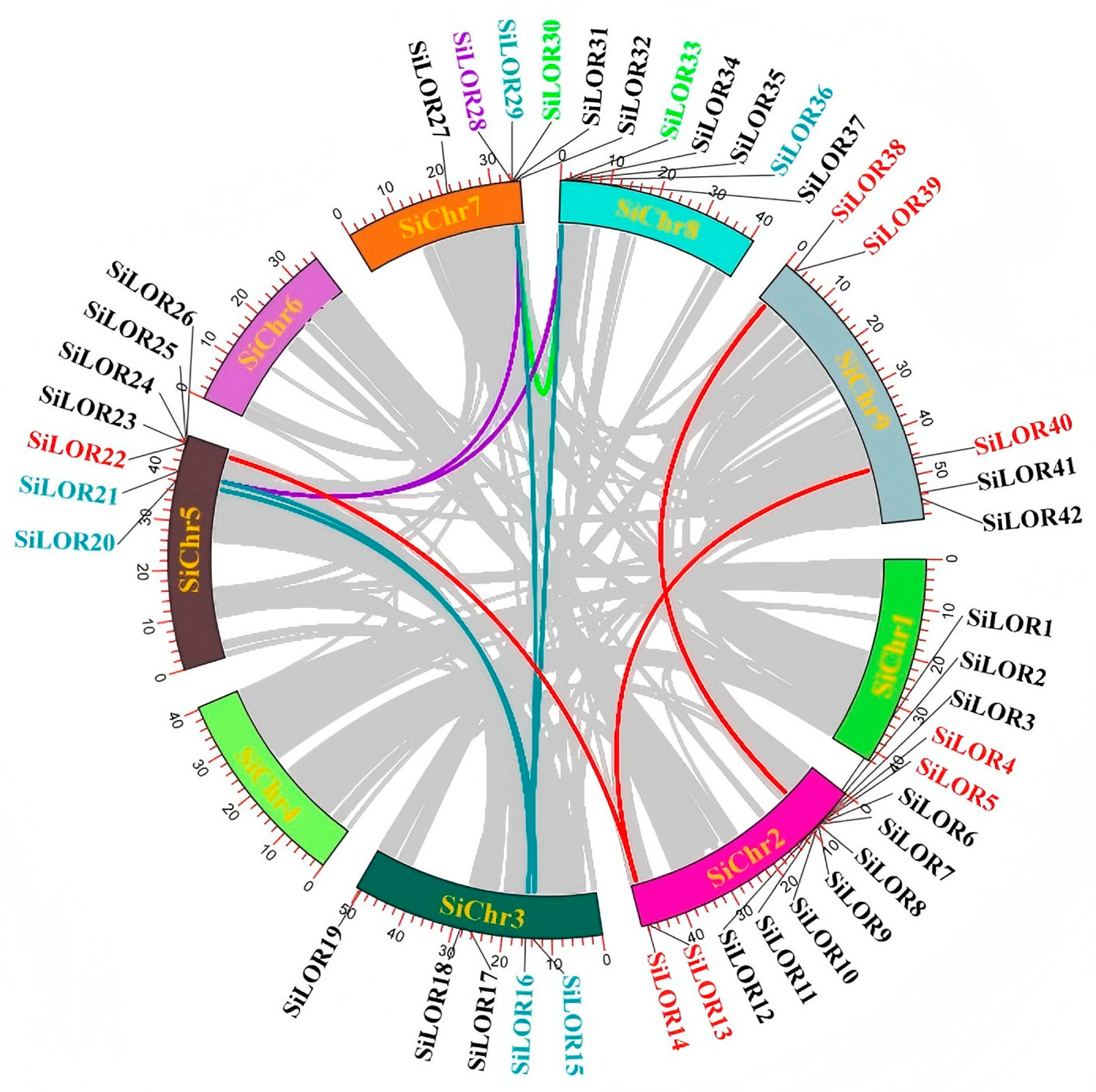 Agronomy 15 02787 g004 Agronomy 15 02787 g004
