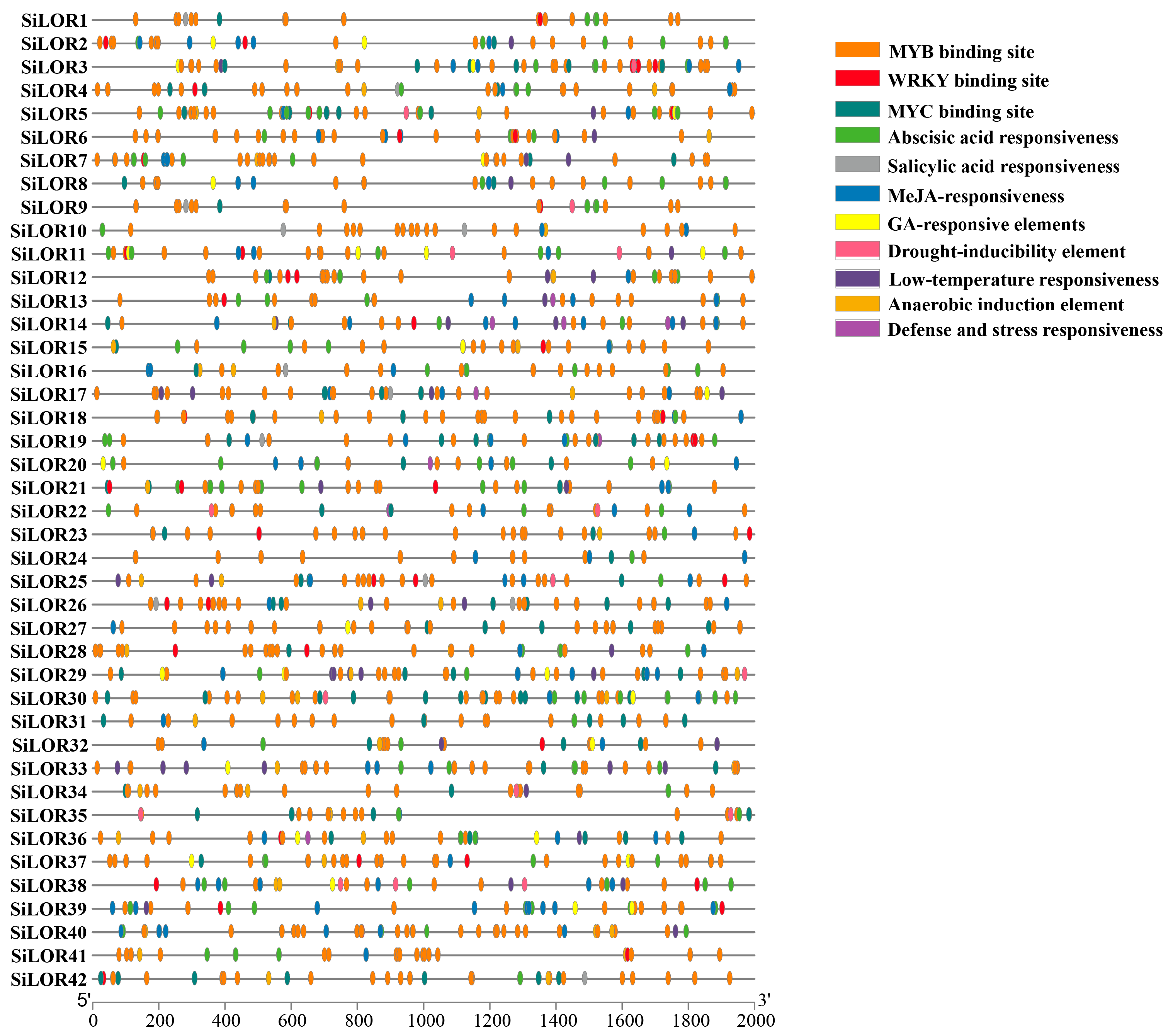 Agronomy 15 02787 g005 Agronomy 15 02787 g005