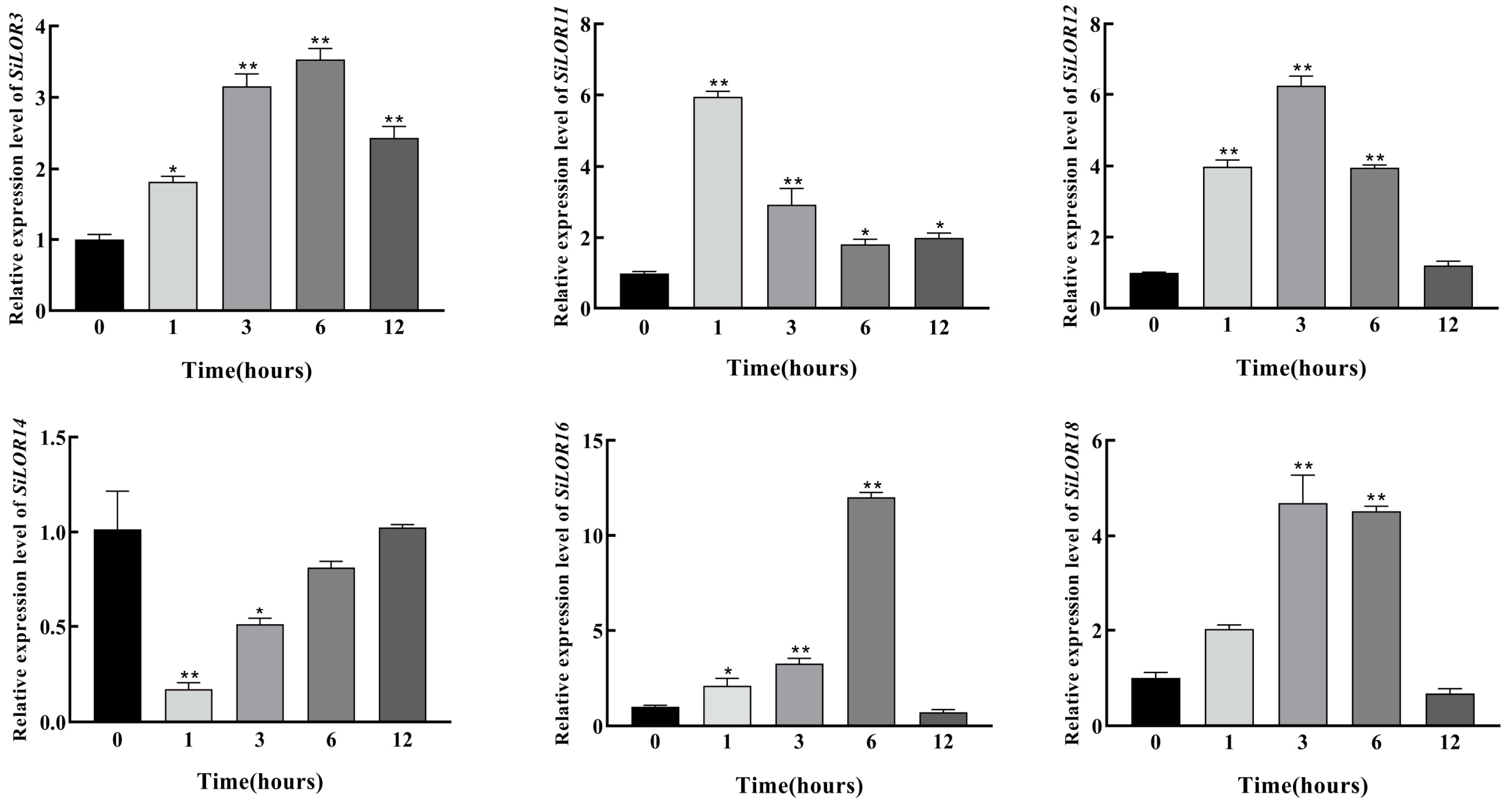 Agronomy 15 02787 g008 Agronomy 15 02787 g008