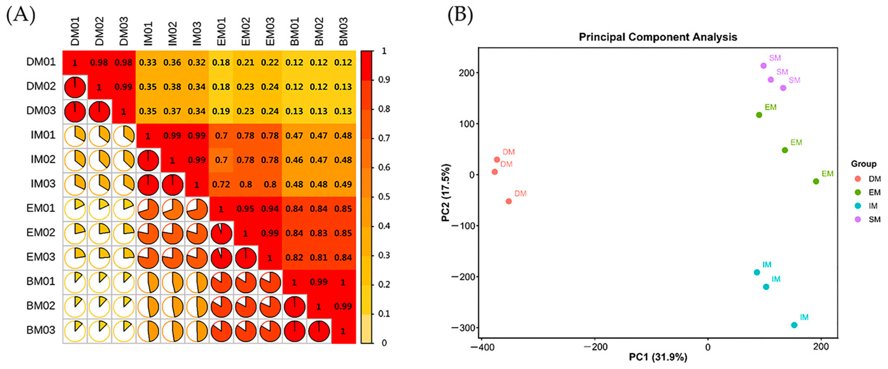 Agronomy 15 02789 g003