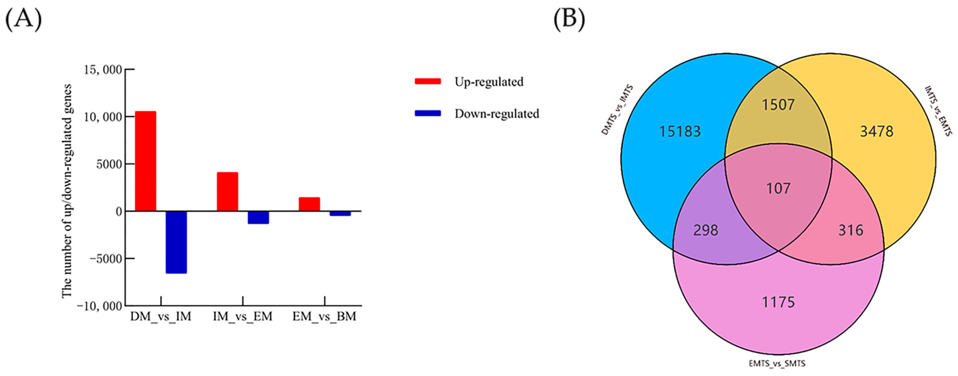 Agronomy 15 02789 g004