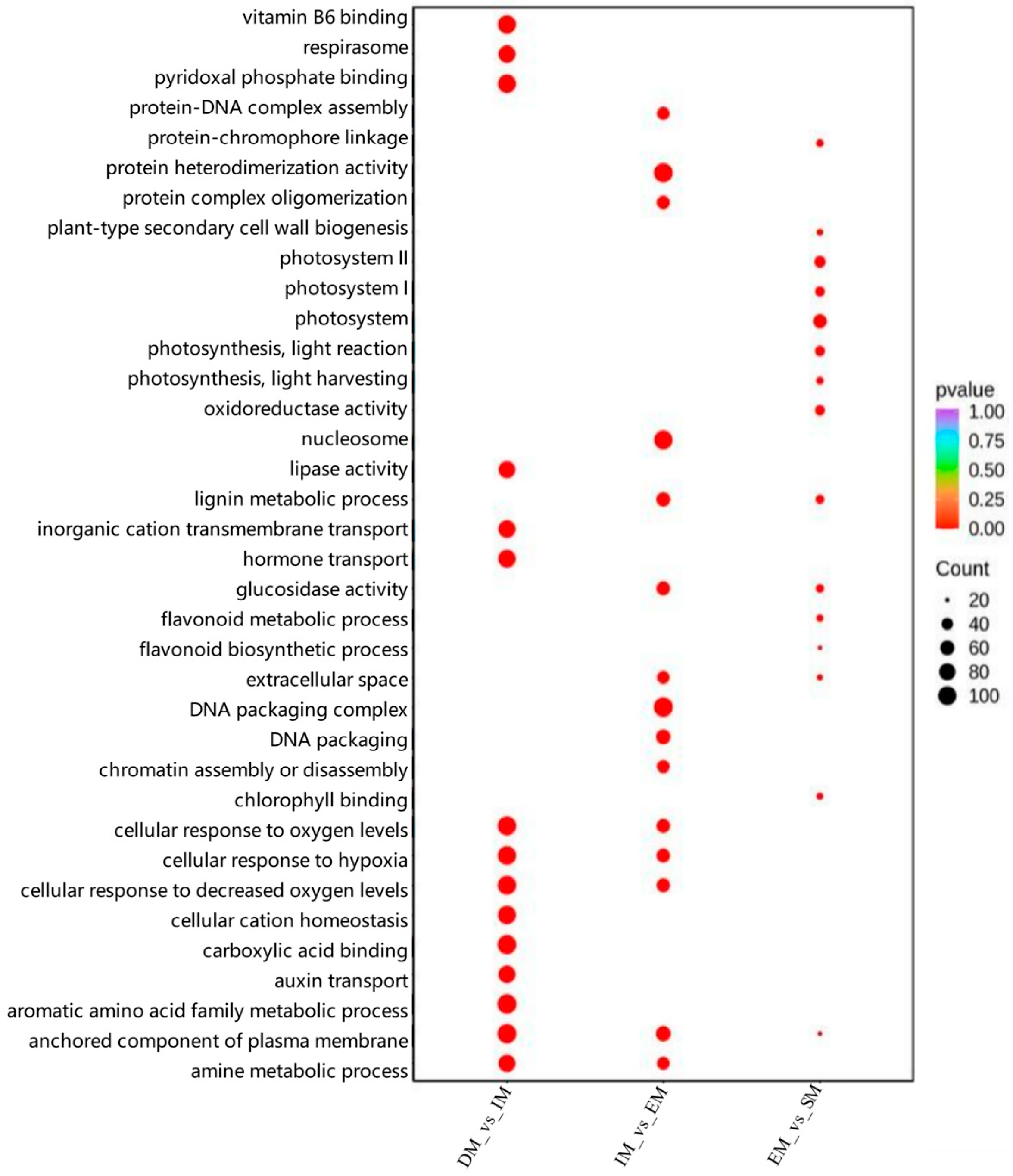 Agronomy 15 02789 g005