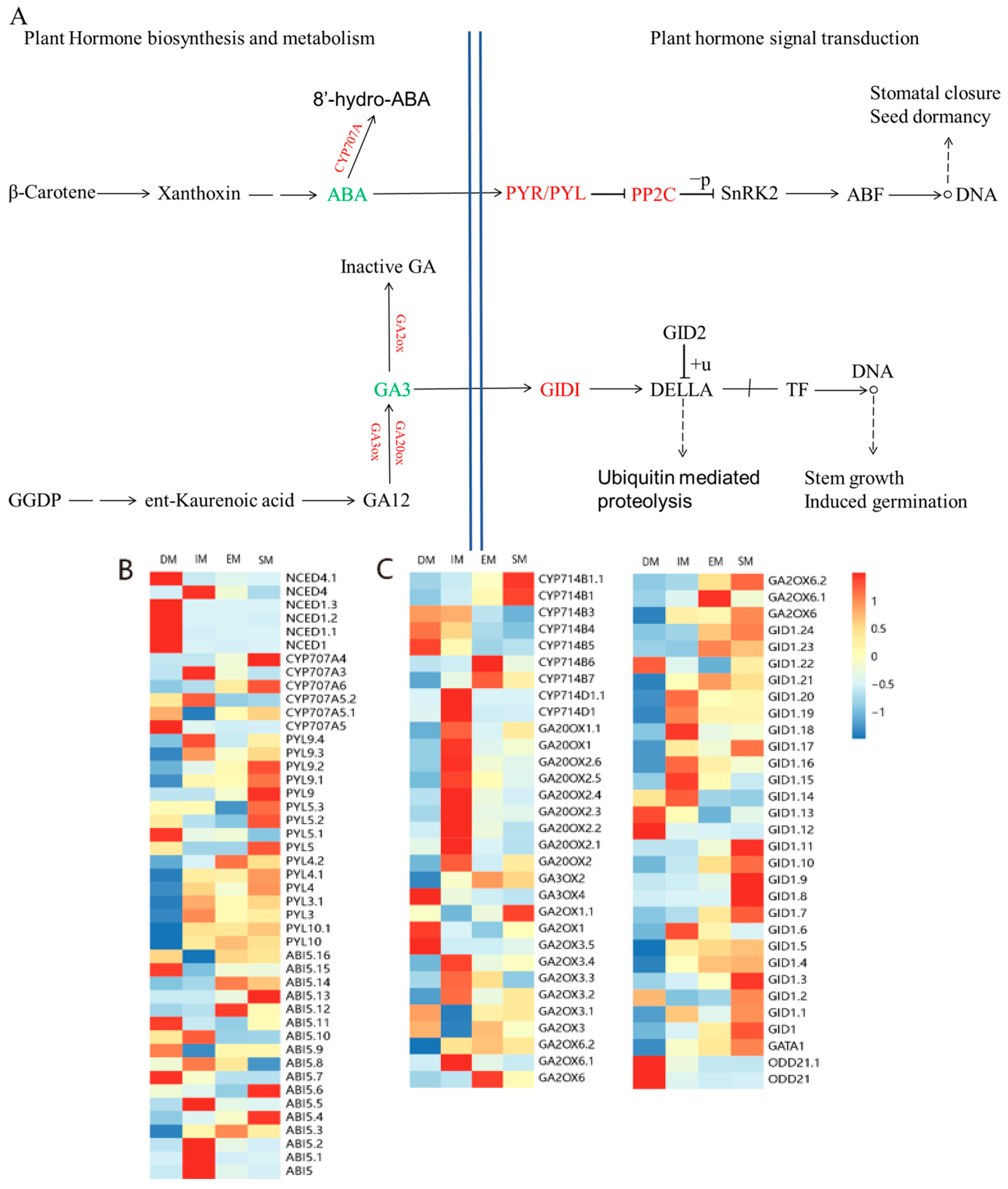 Agronomy 15 02789 g007