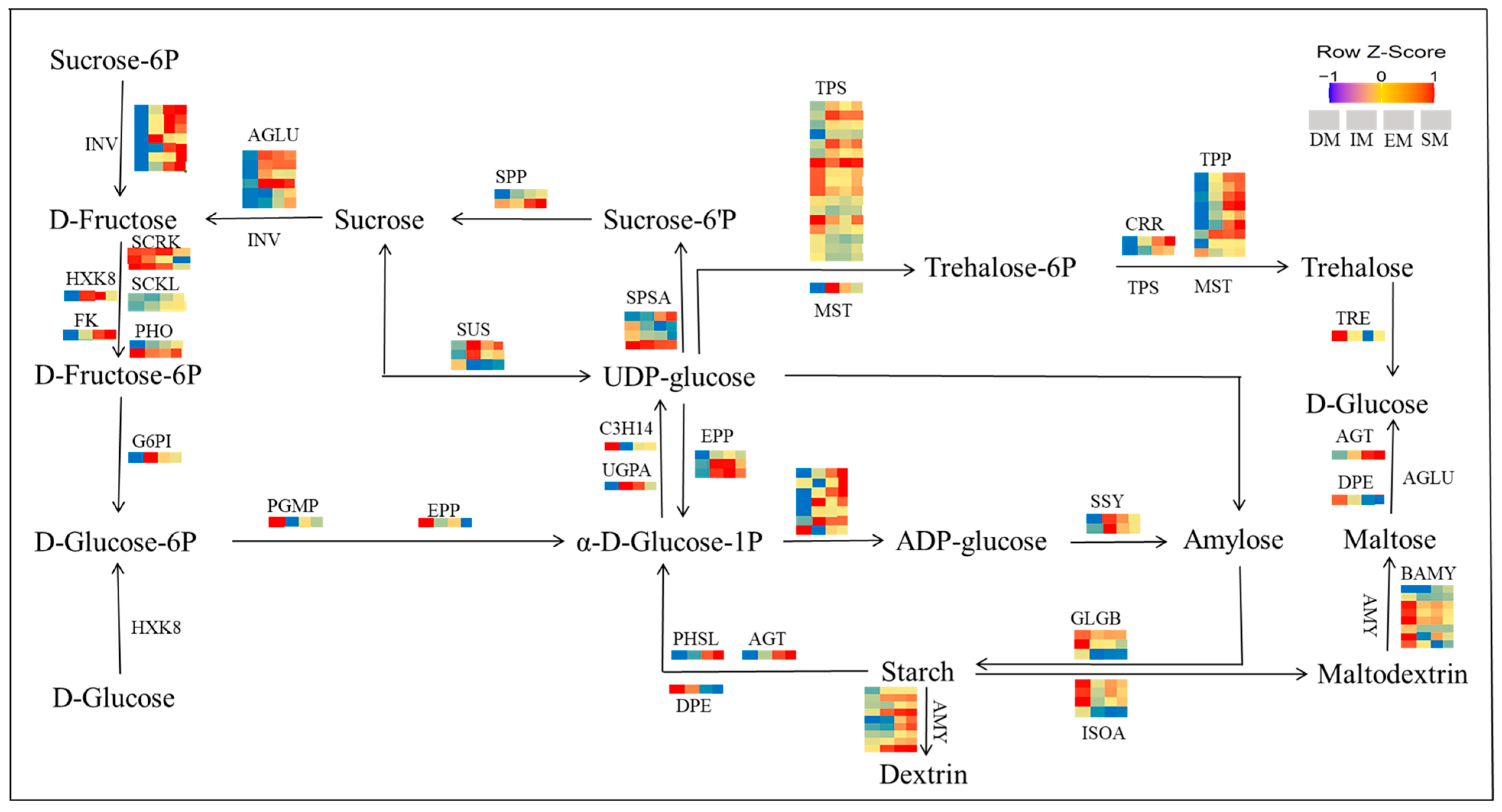 Agronomy 15 02789 g008
