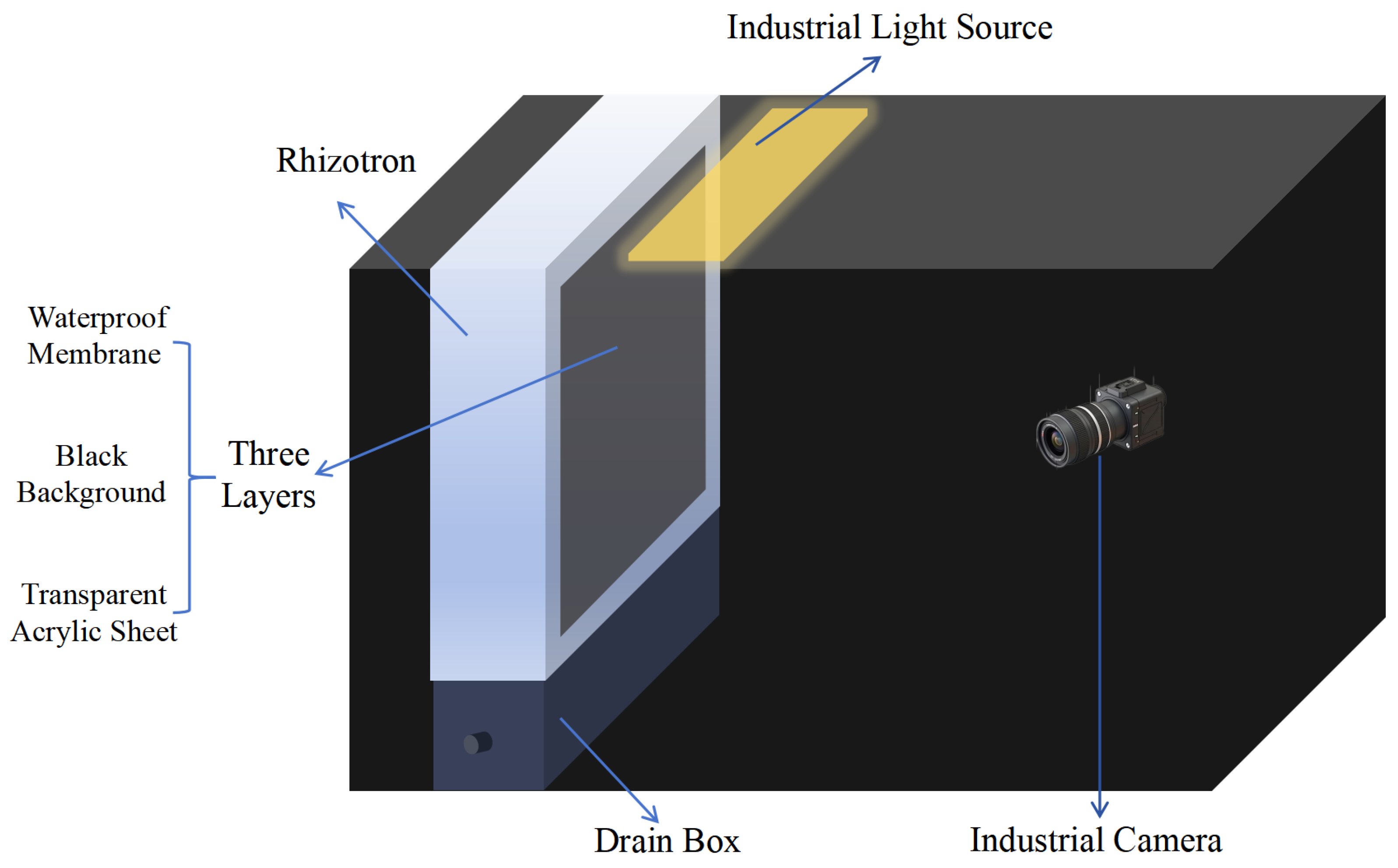 Agronomy 15 02794 g001