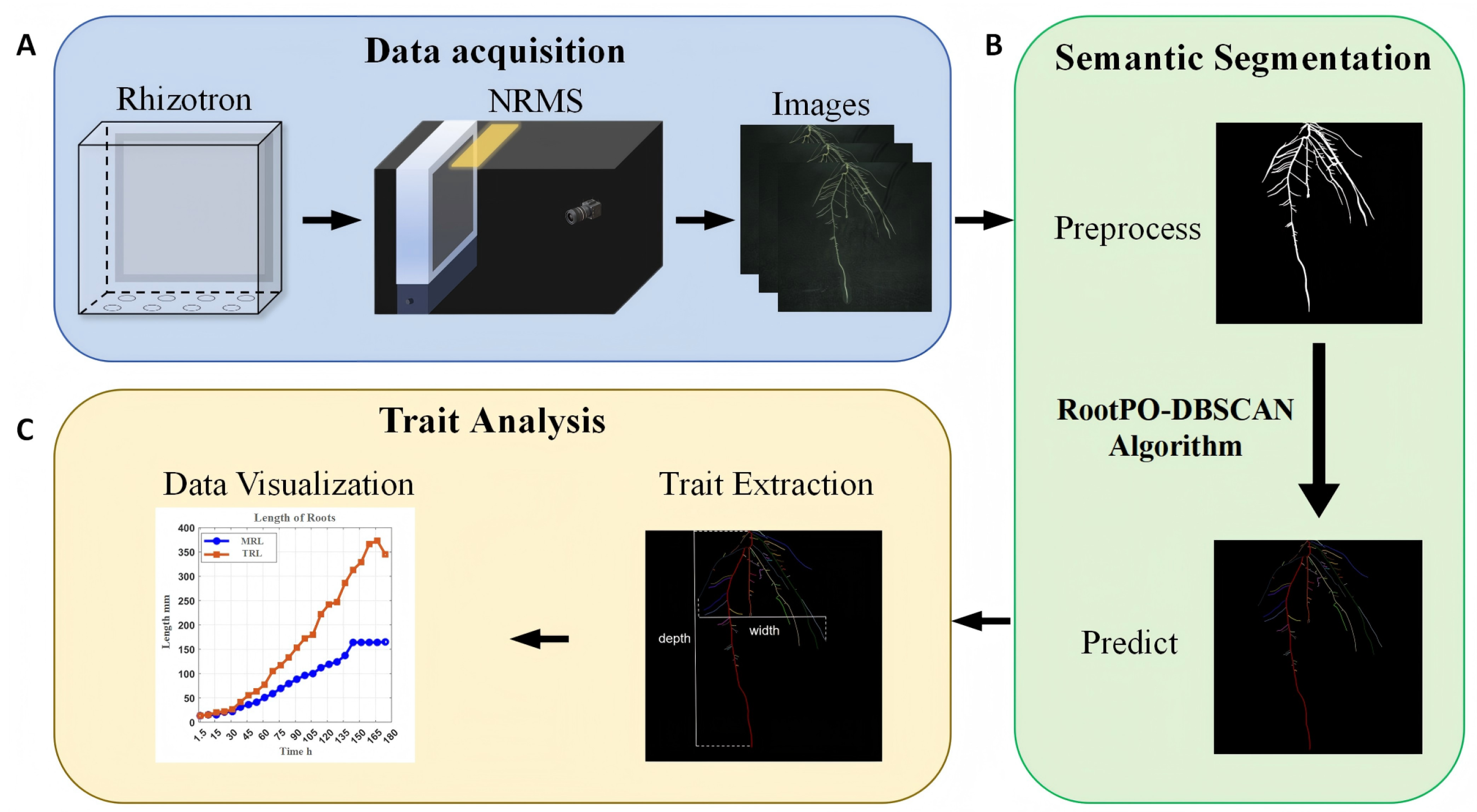 Agronomy 15 02794 g002