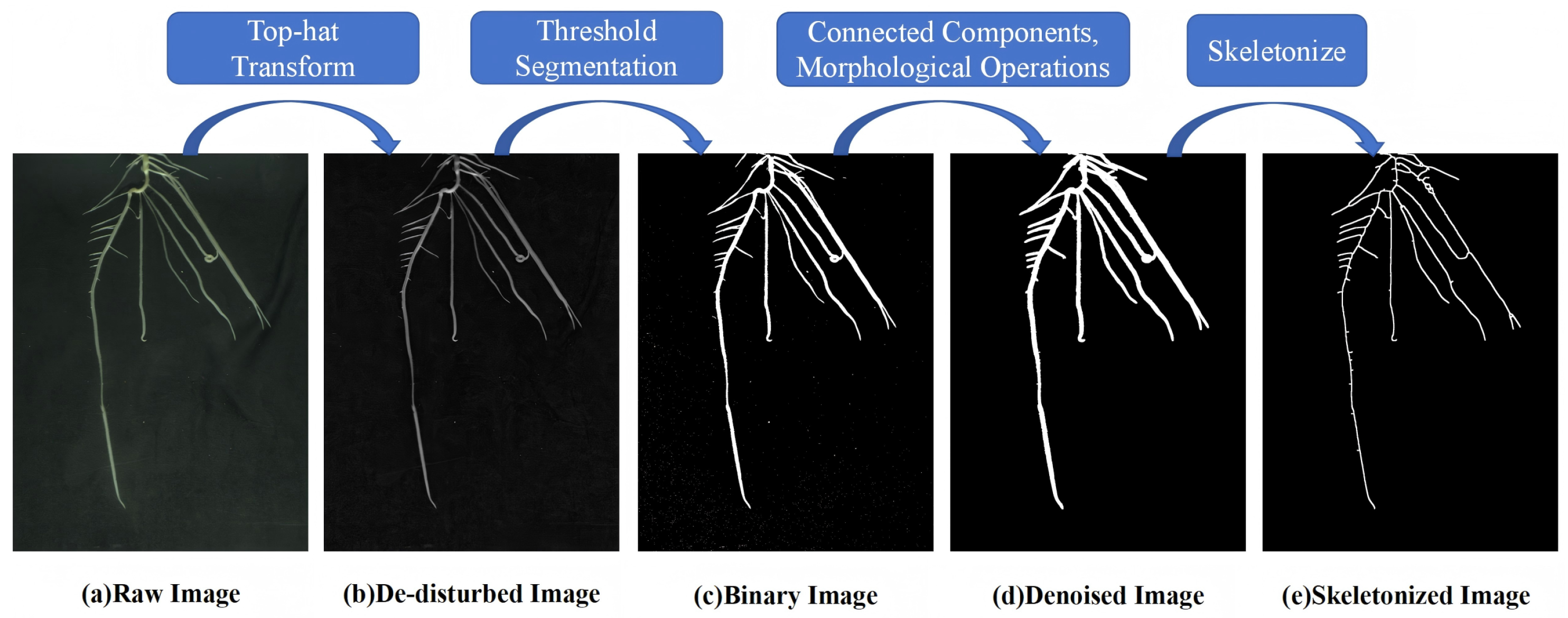 Agronomy 15 02794 g006
