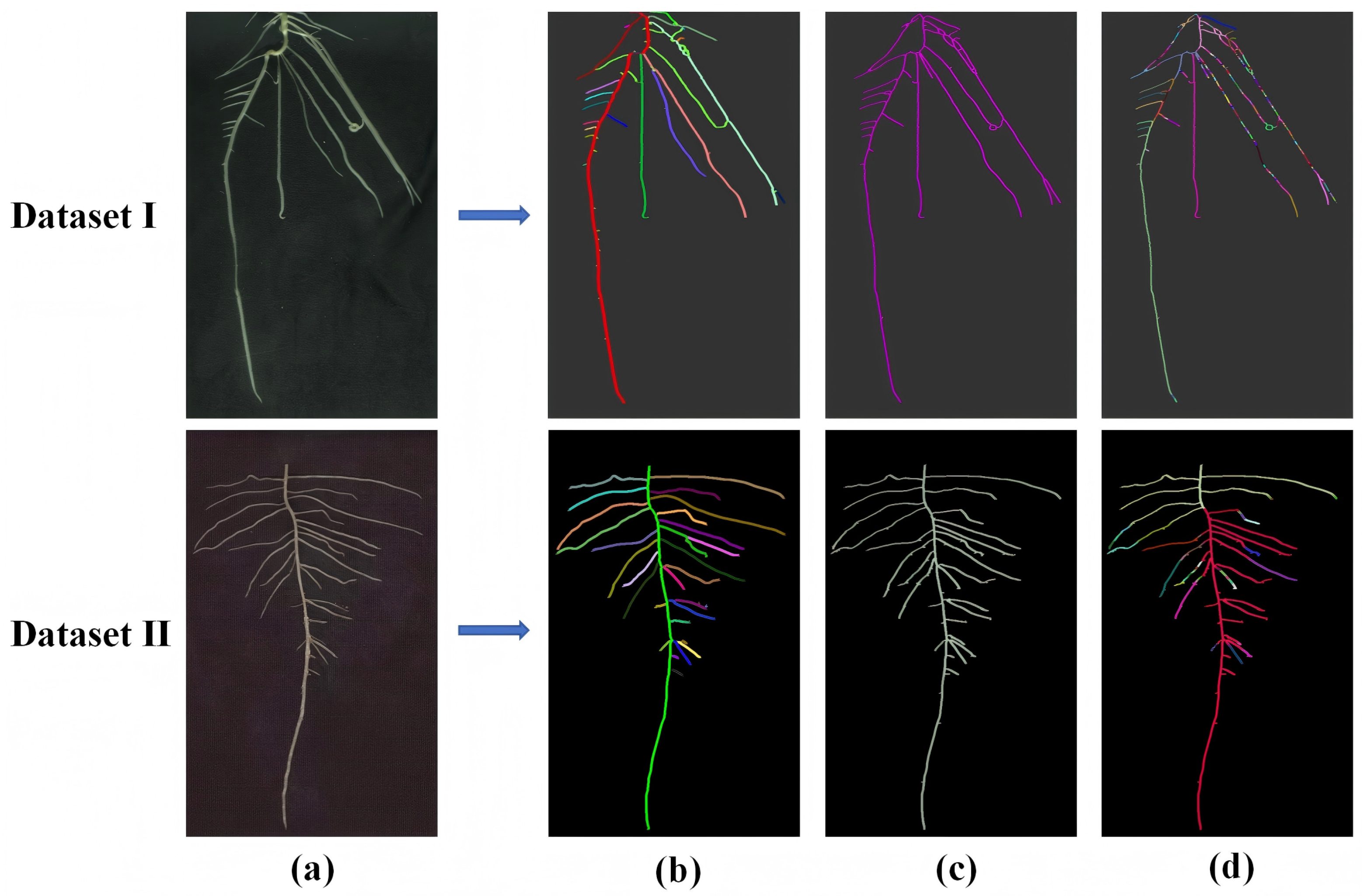 Agronomy 15 02794 g009