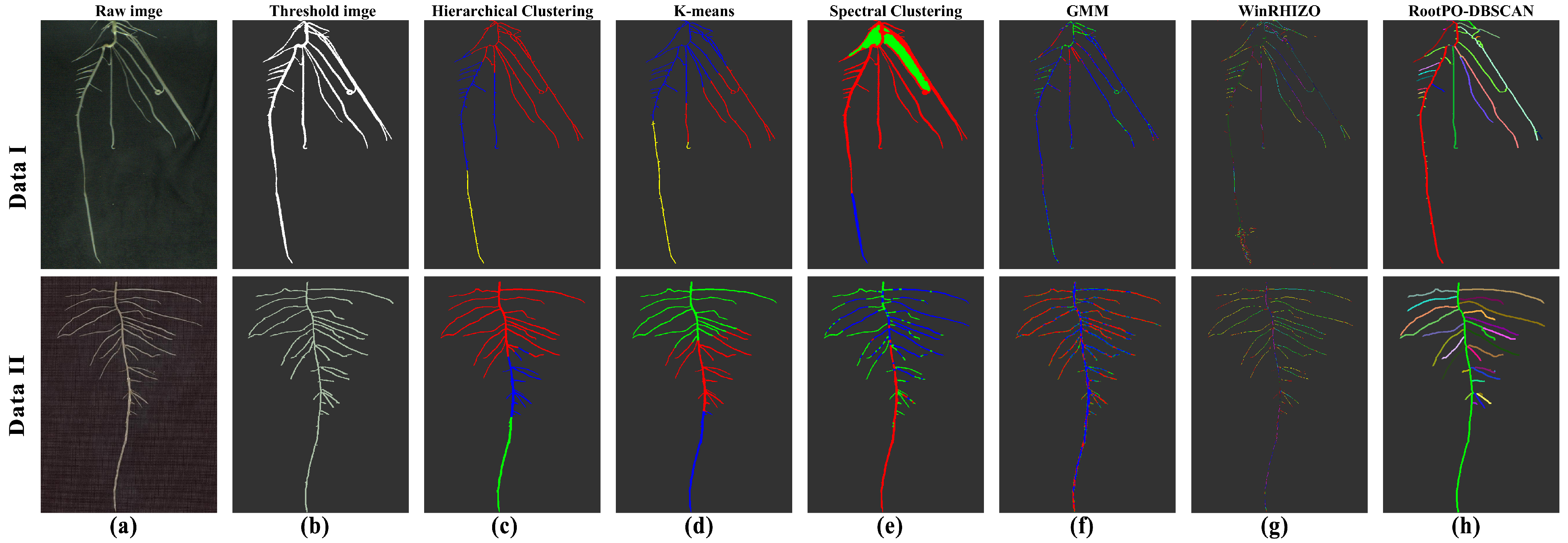 Agronomy 15 02794 g010
