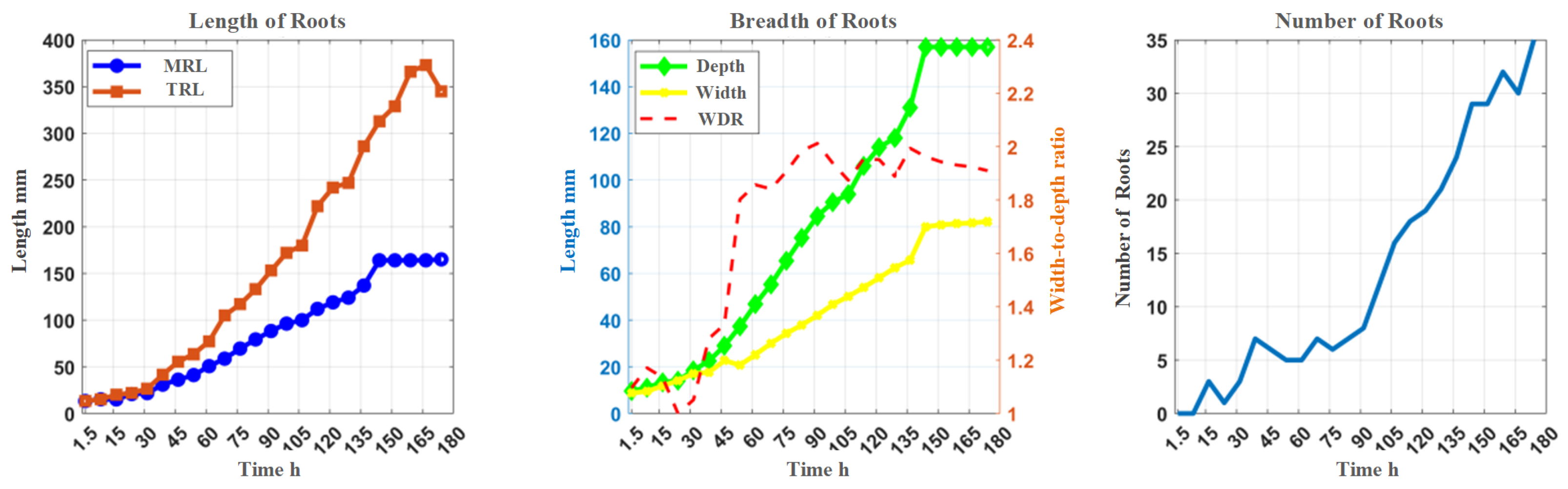 Agronomy 15 02794 g012