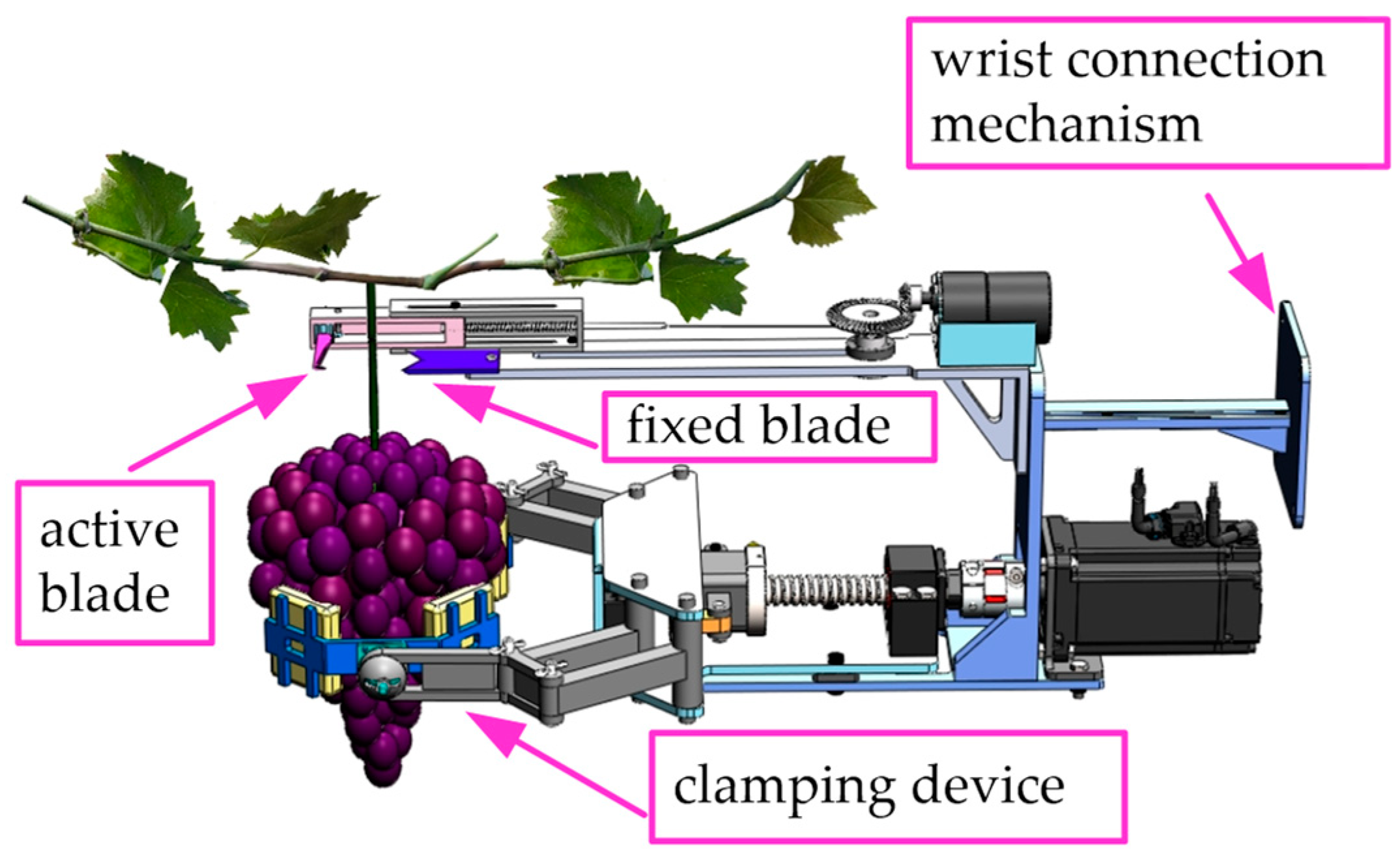 Agronomy 15 02813 g001