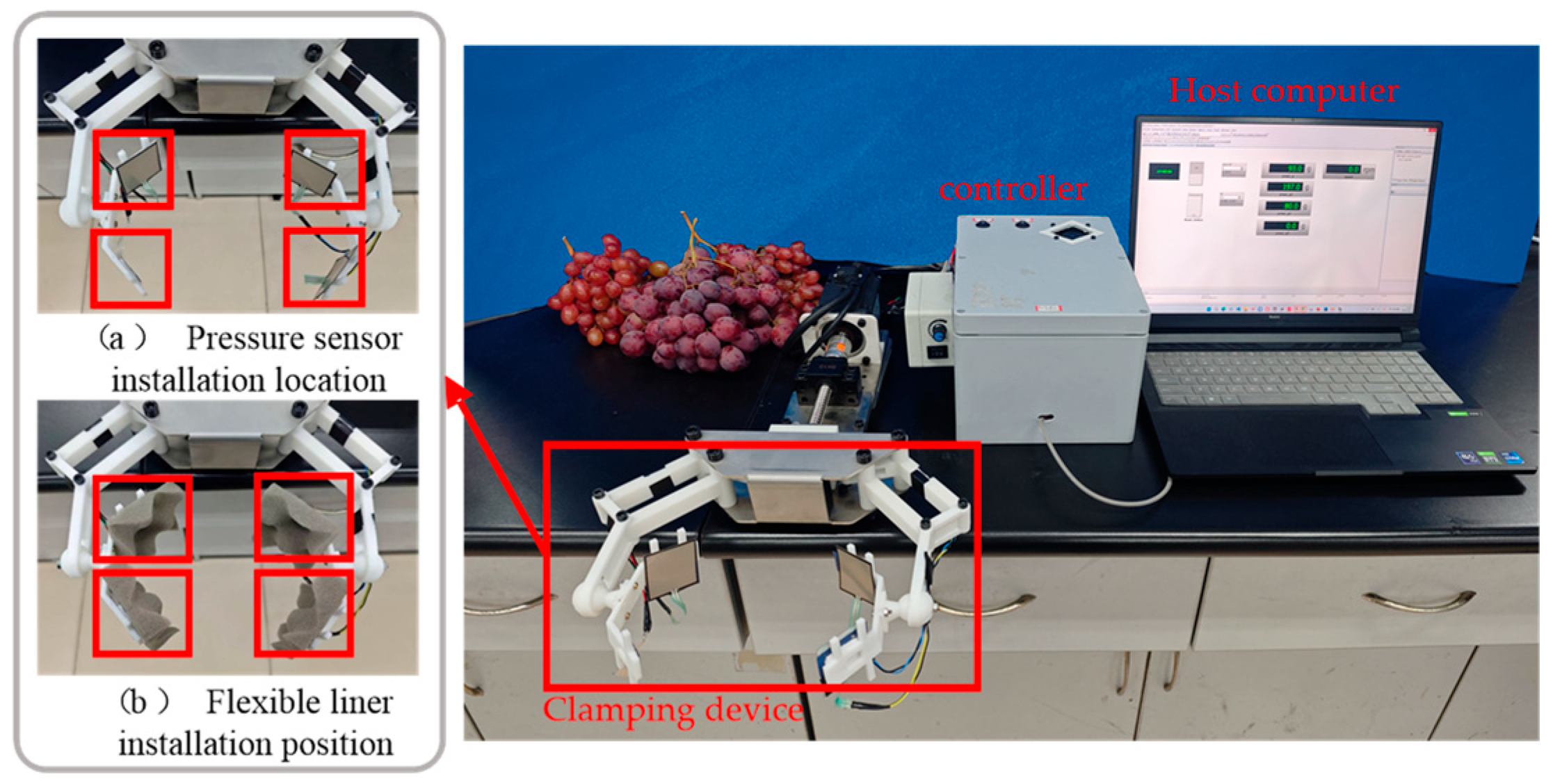Agronomy 15 02813 g011