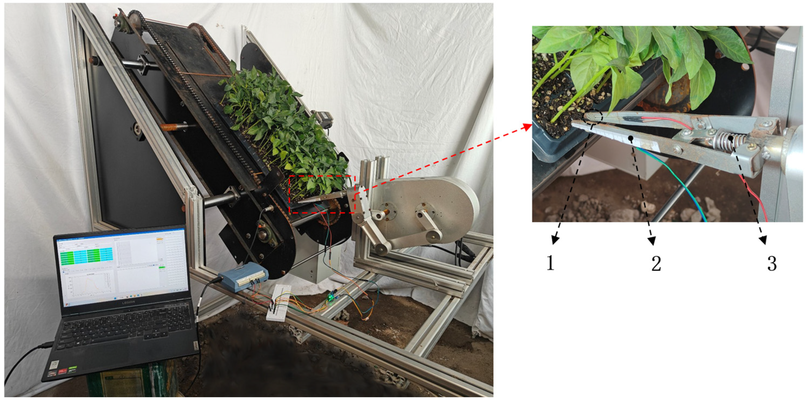 Agronomy 15 02822 g022