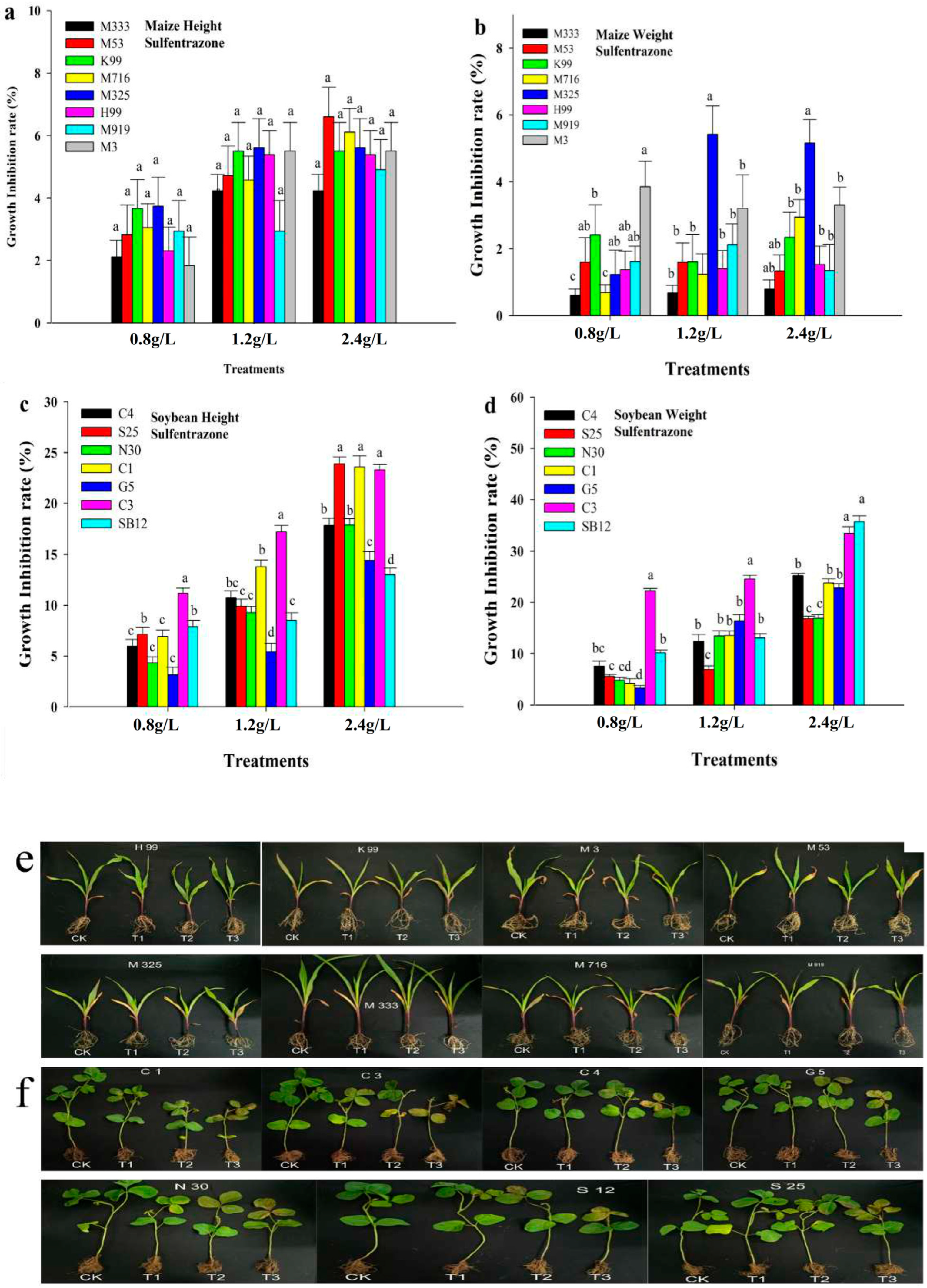 Agronomy 15 02833 g003 Agronomy 15 02833 g003