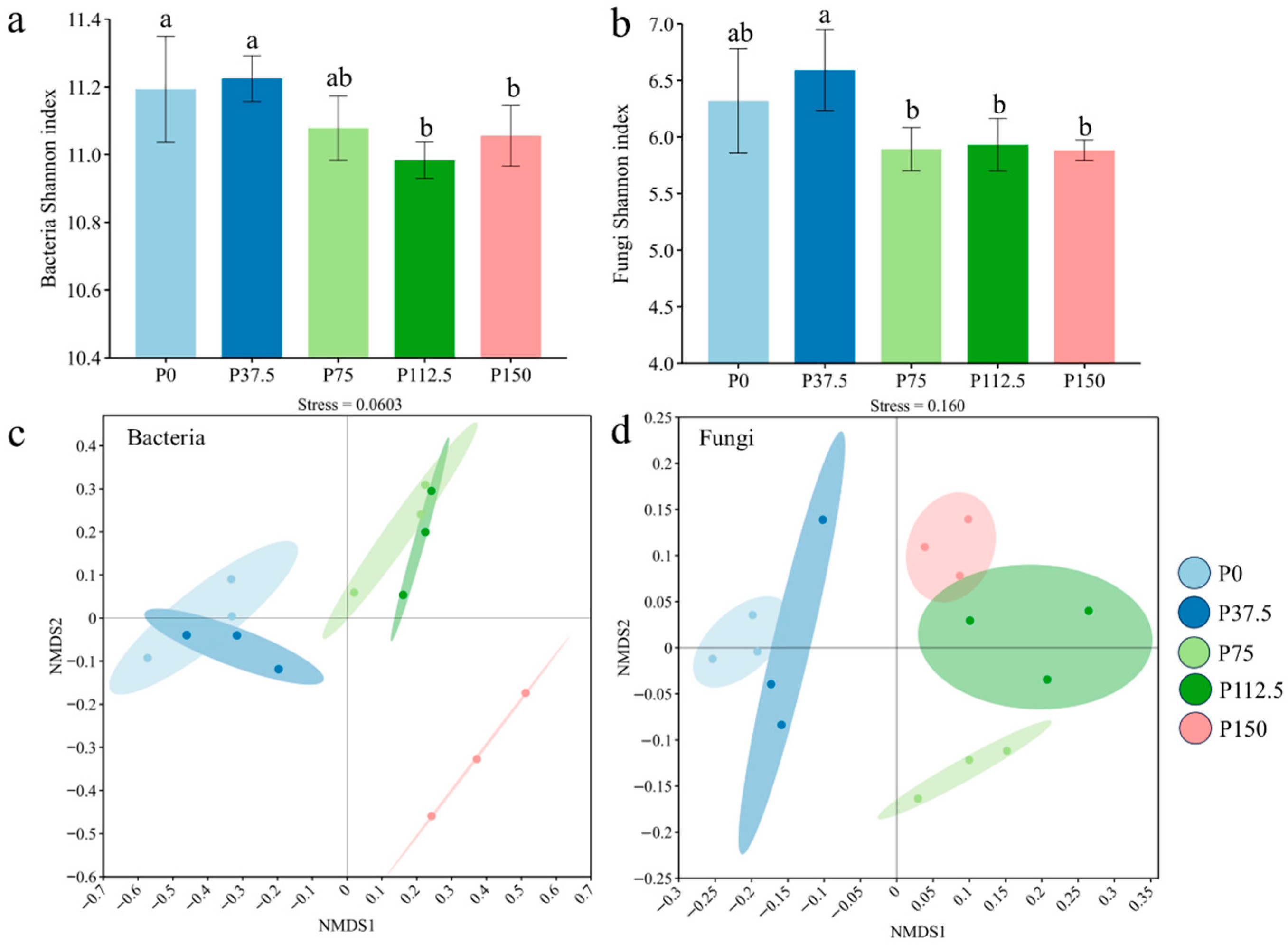 Agronomy 15 02835 g001
