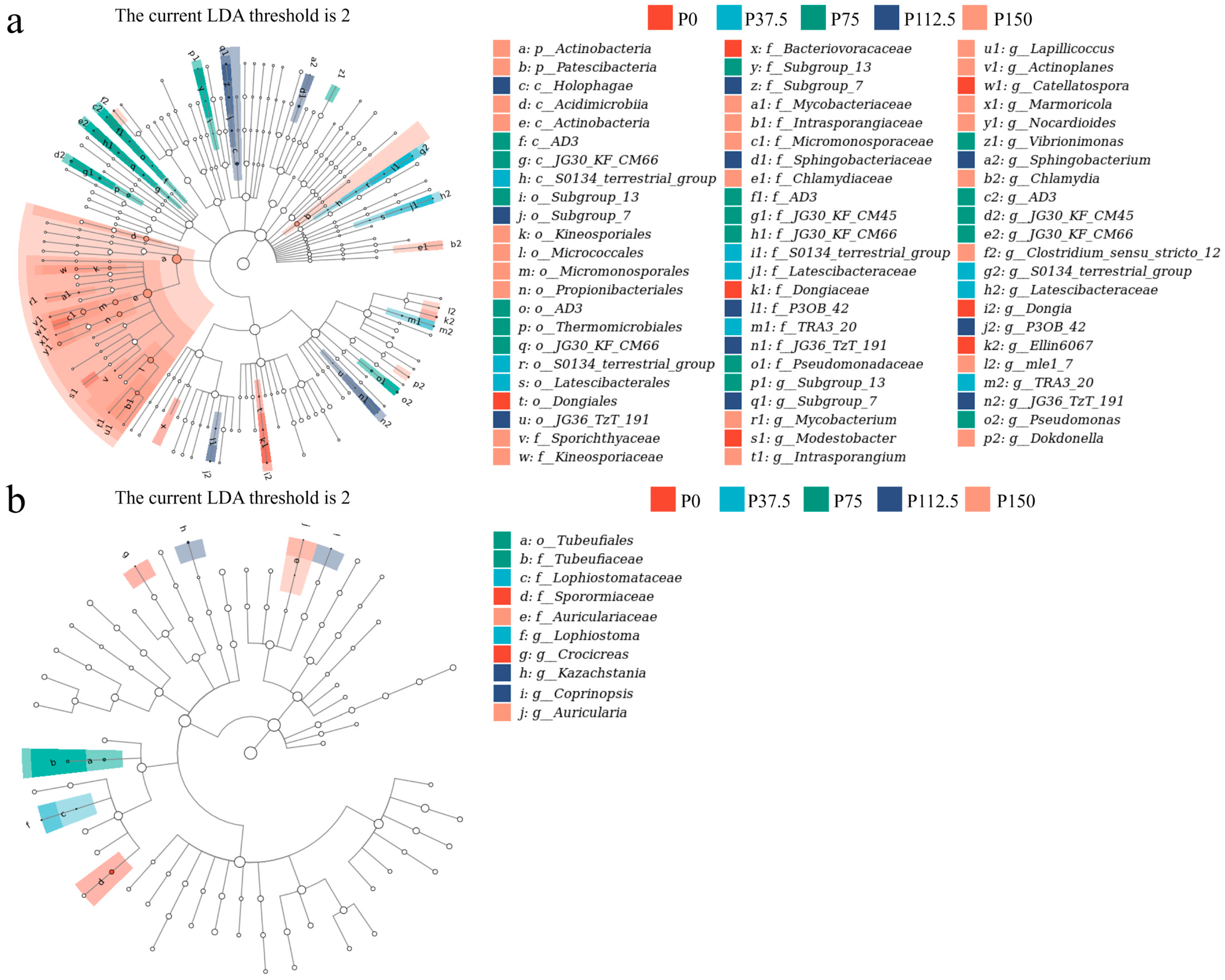 Agronomy 15 02835 g002