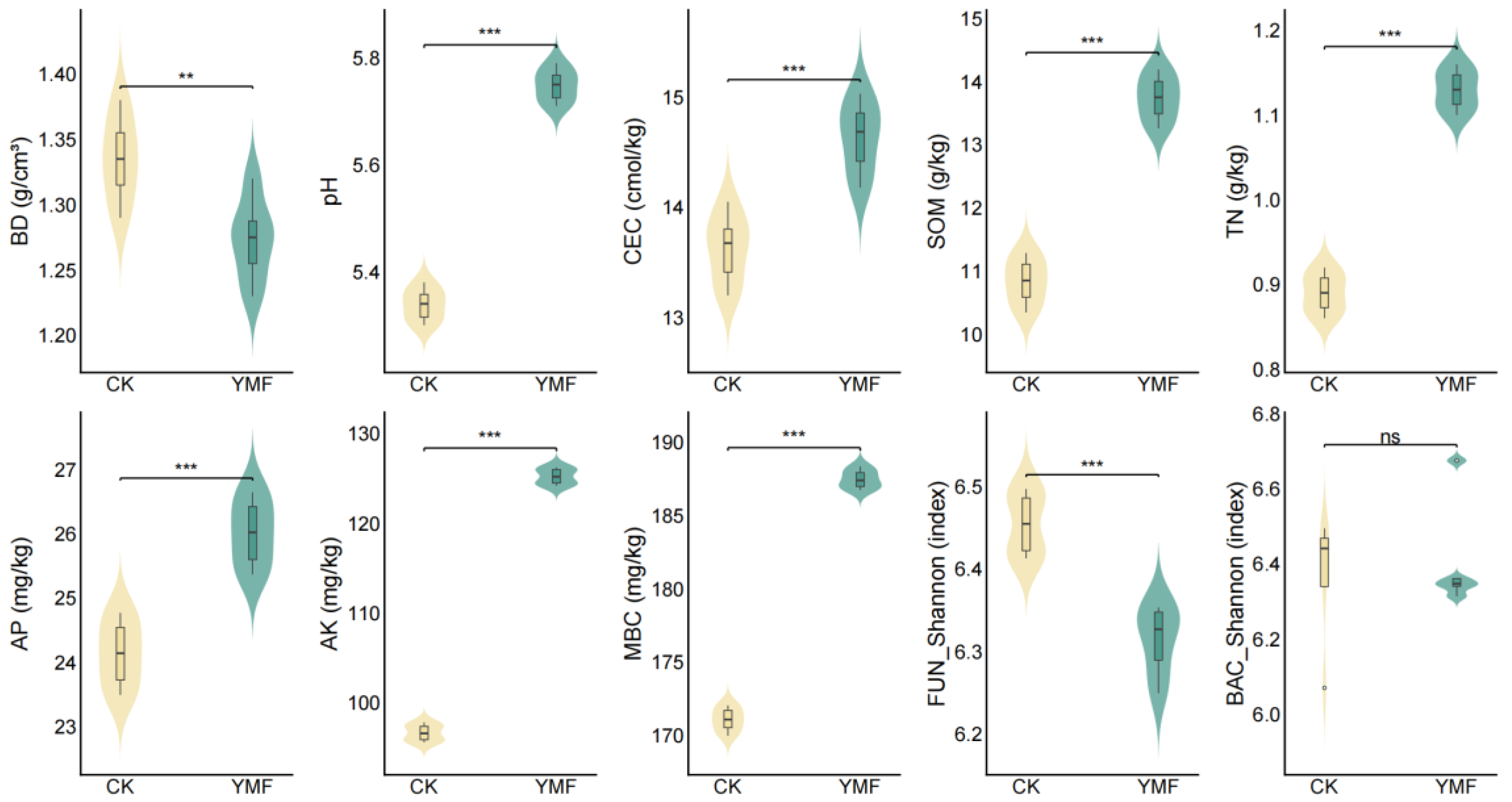 Agronomy 15 02837 g001
