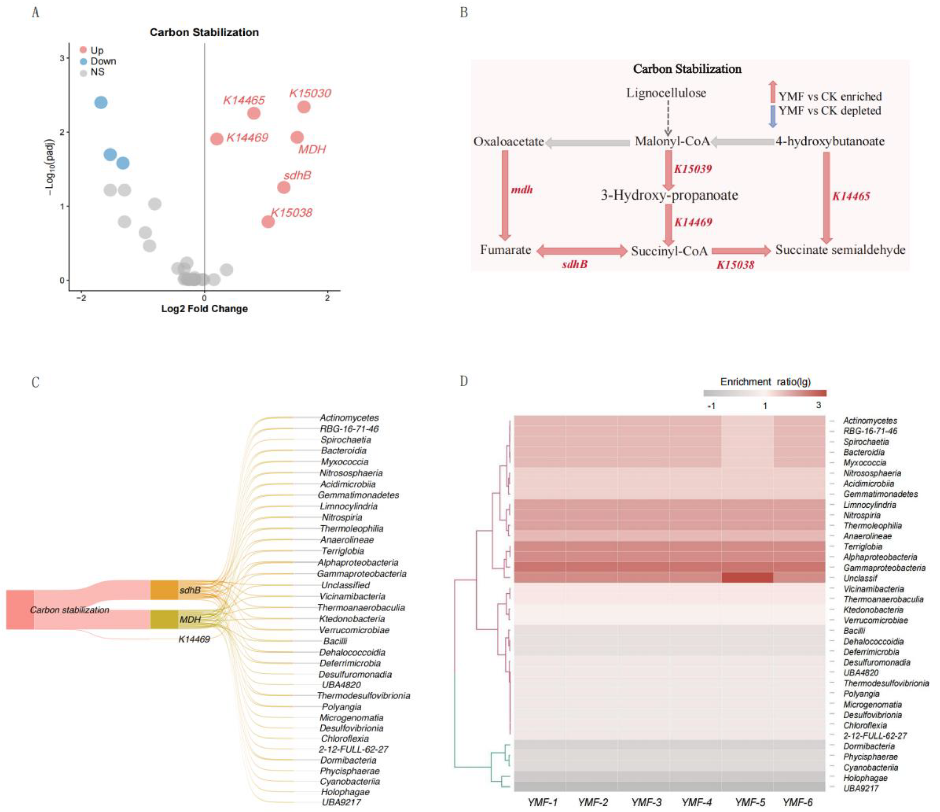 Agronomy 15 02837 g003