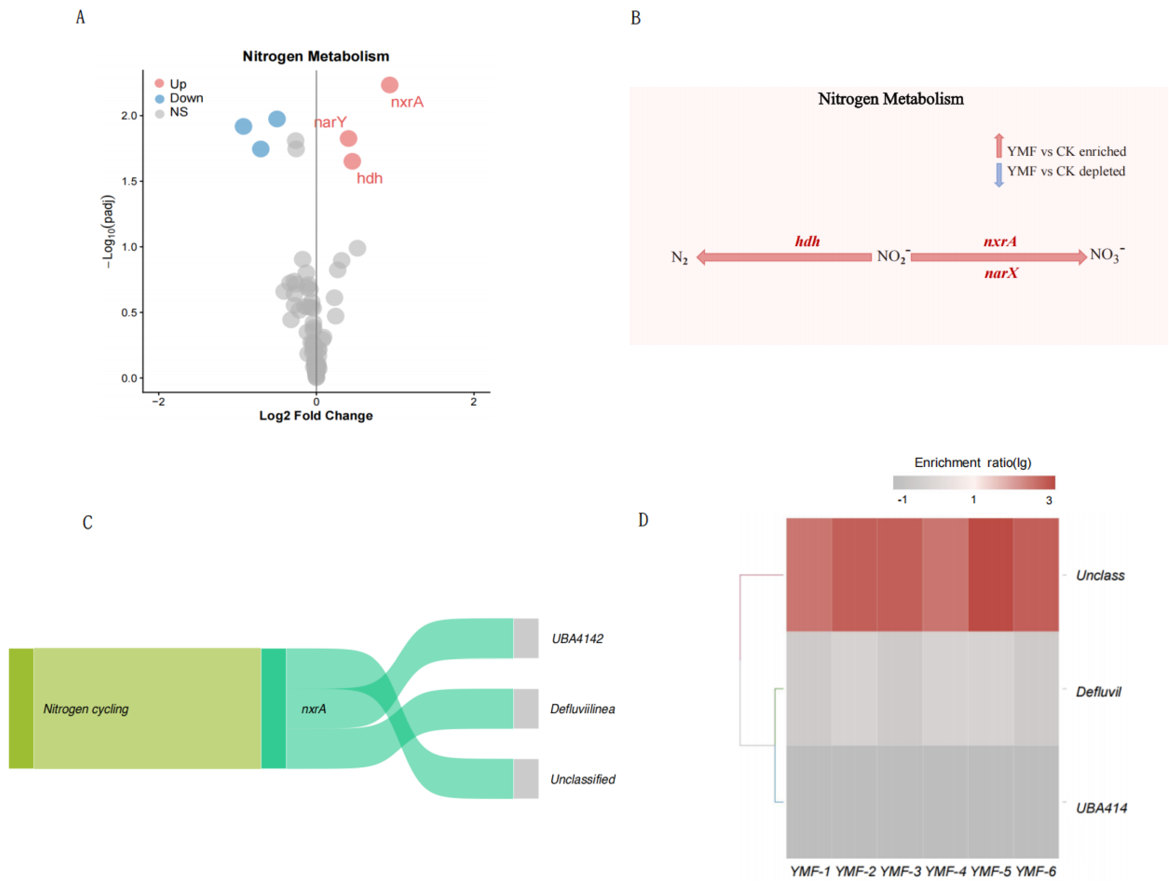 Agronomy 15 02837 g004