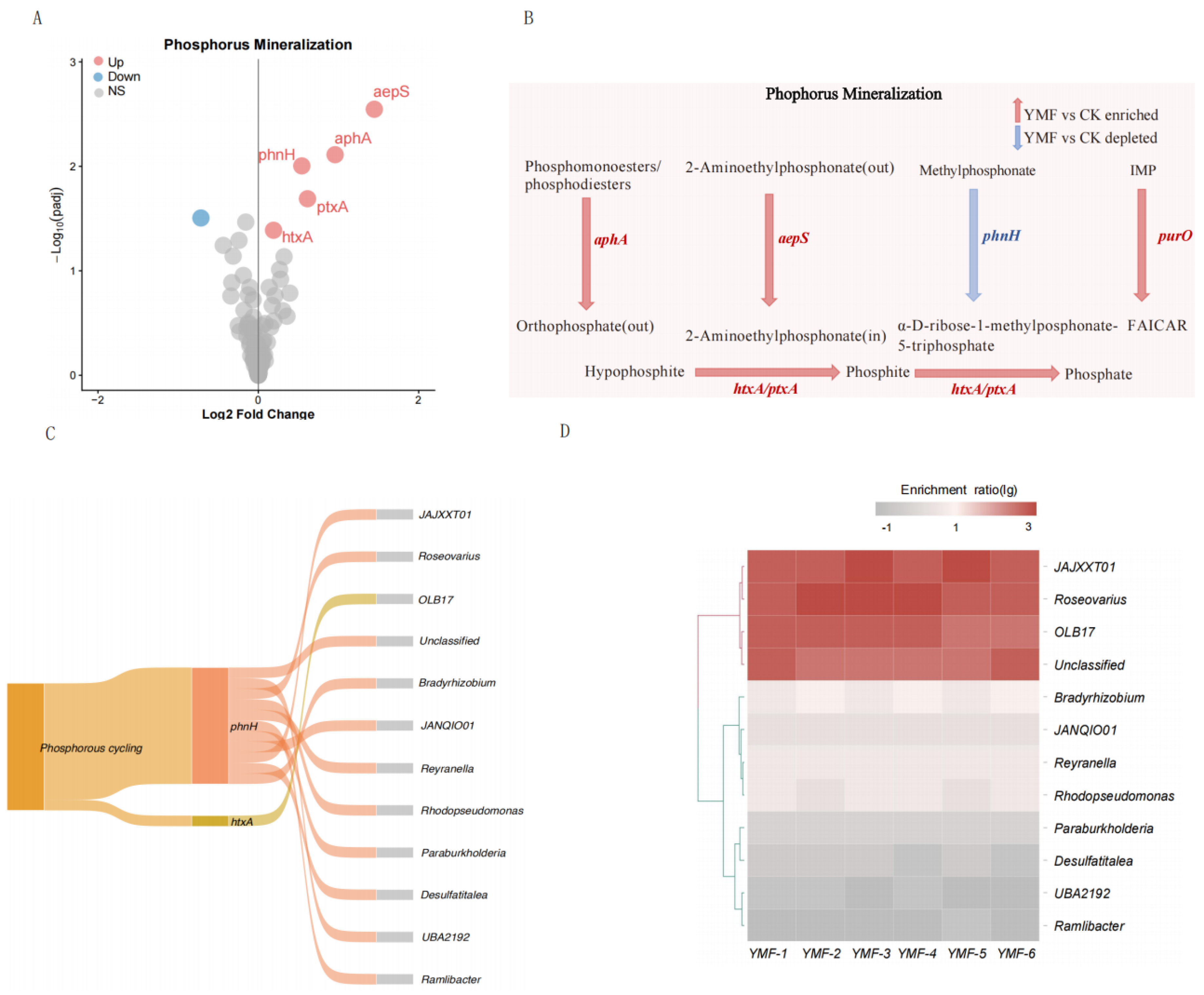 Agronomy 15 02837 g005