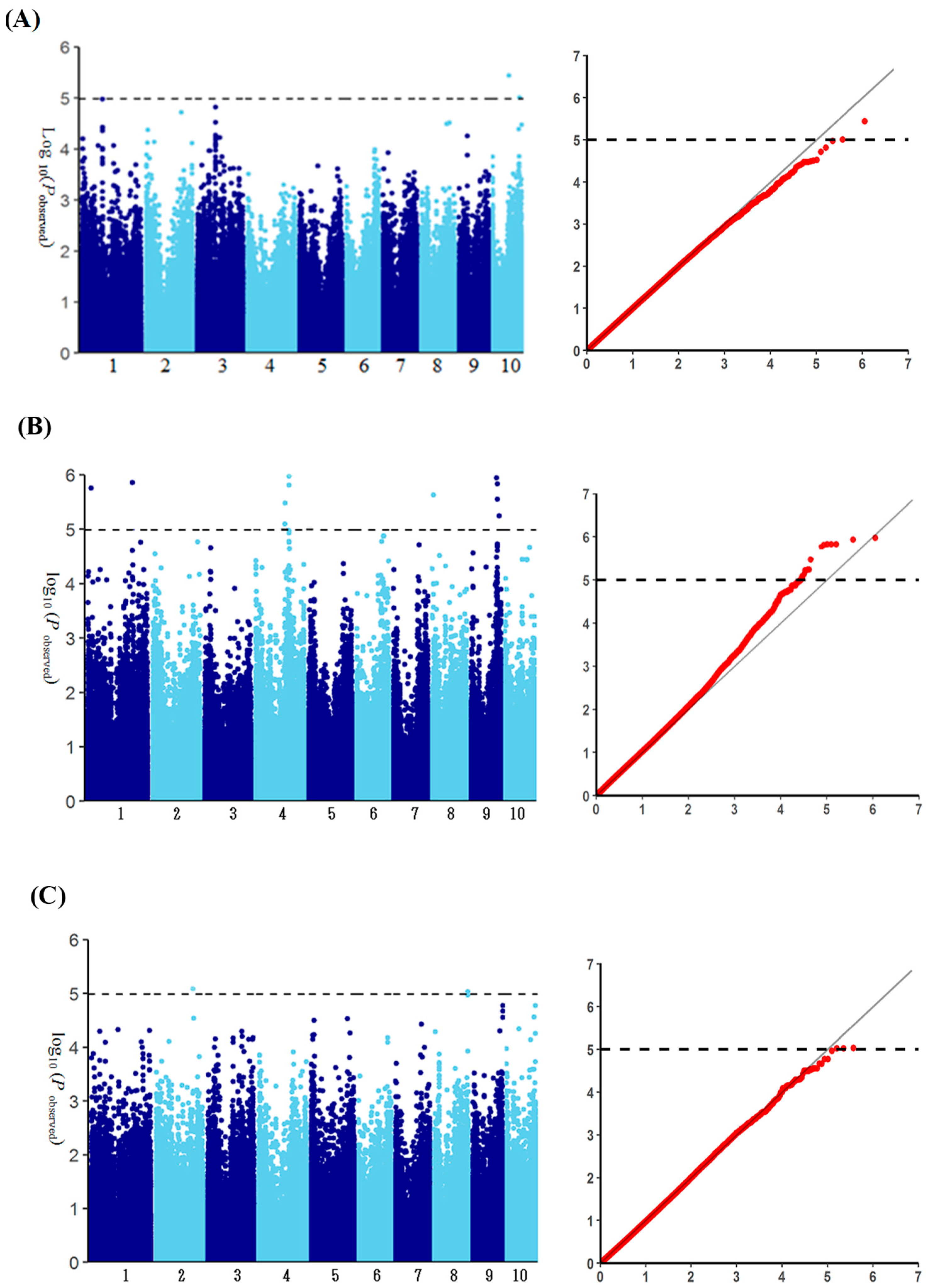 Agronomy 15 02842 g005 Agronomy 15 02842 g005